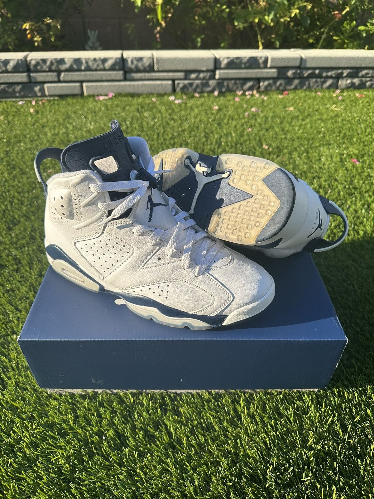 2022 jordan 6