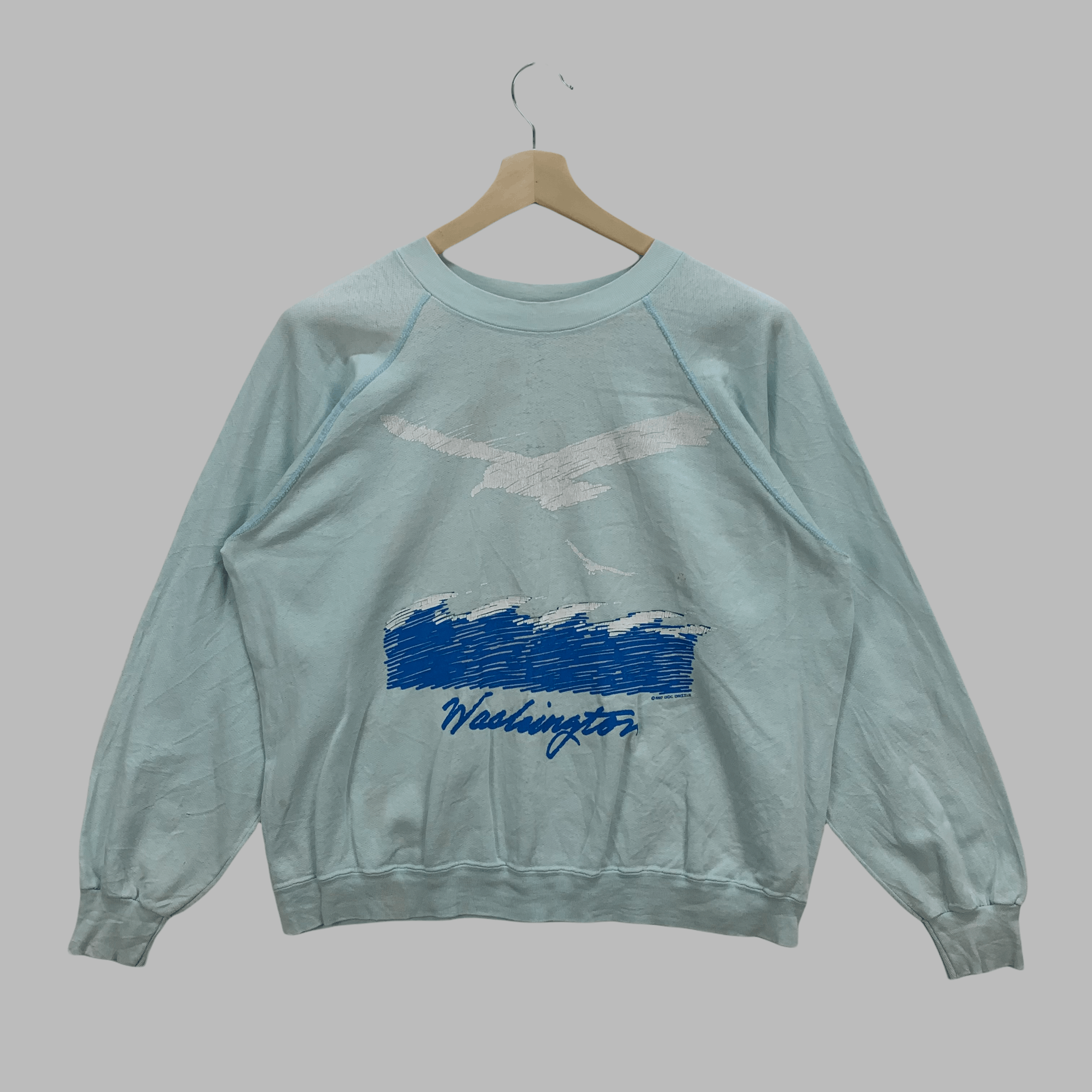 Vintage Vintage 1987 Tee Jays Washington Sweatshirts #3733-130 Size US L / EU 52-54 / 3 - 1 Thumbnail