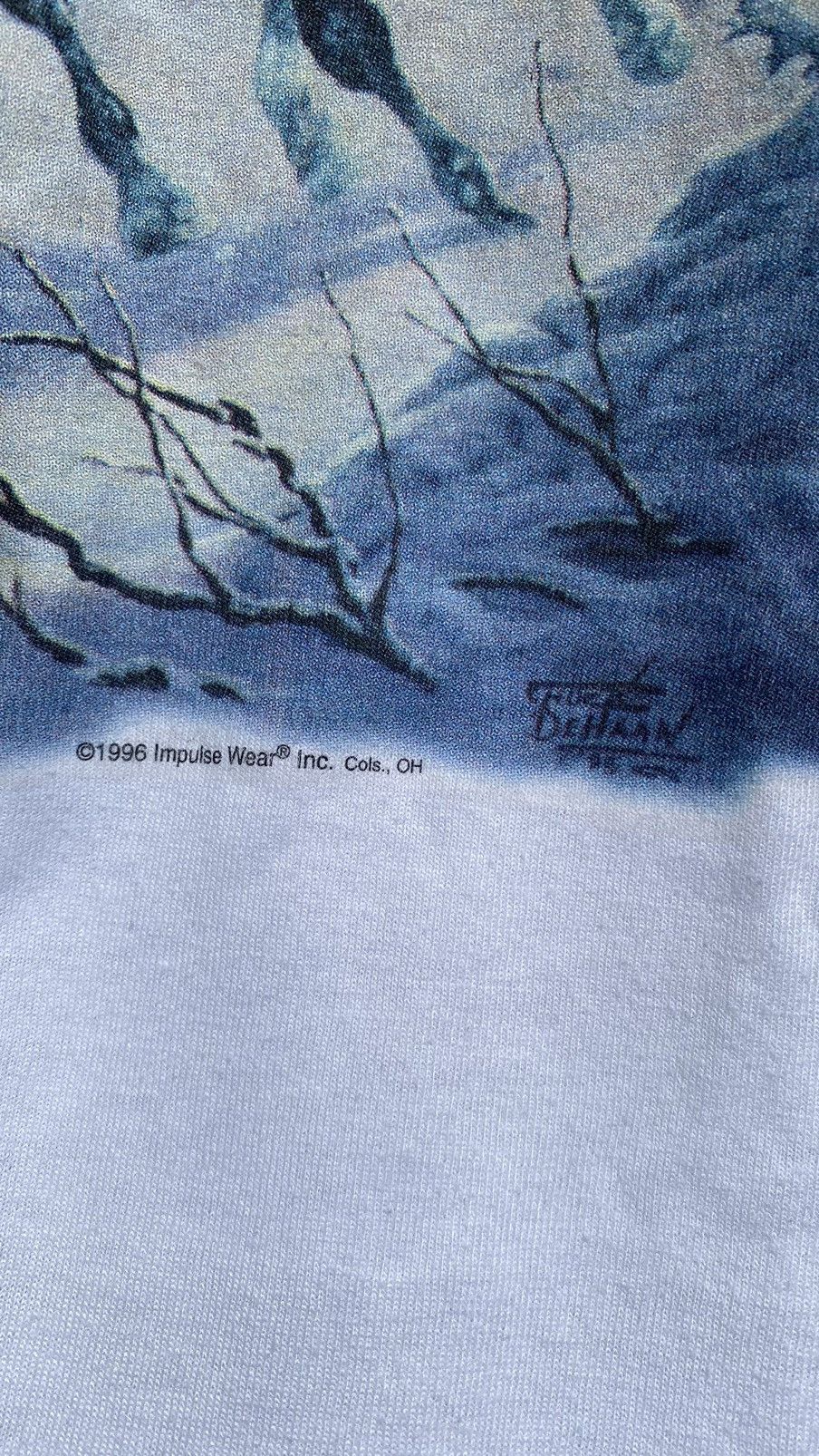 Vintage Chuck DeHaan Impulse Wear Wild Horse Graphic 90s Size US L / EU 52-54 / 3 - 3 Thumbnail