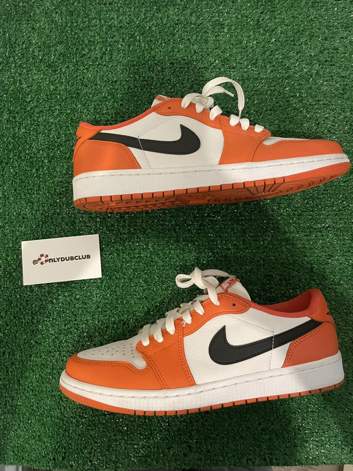 shattered backboard starfish