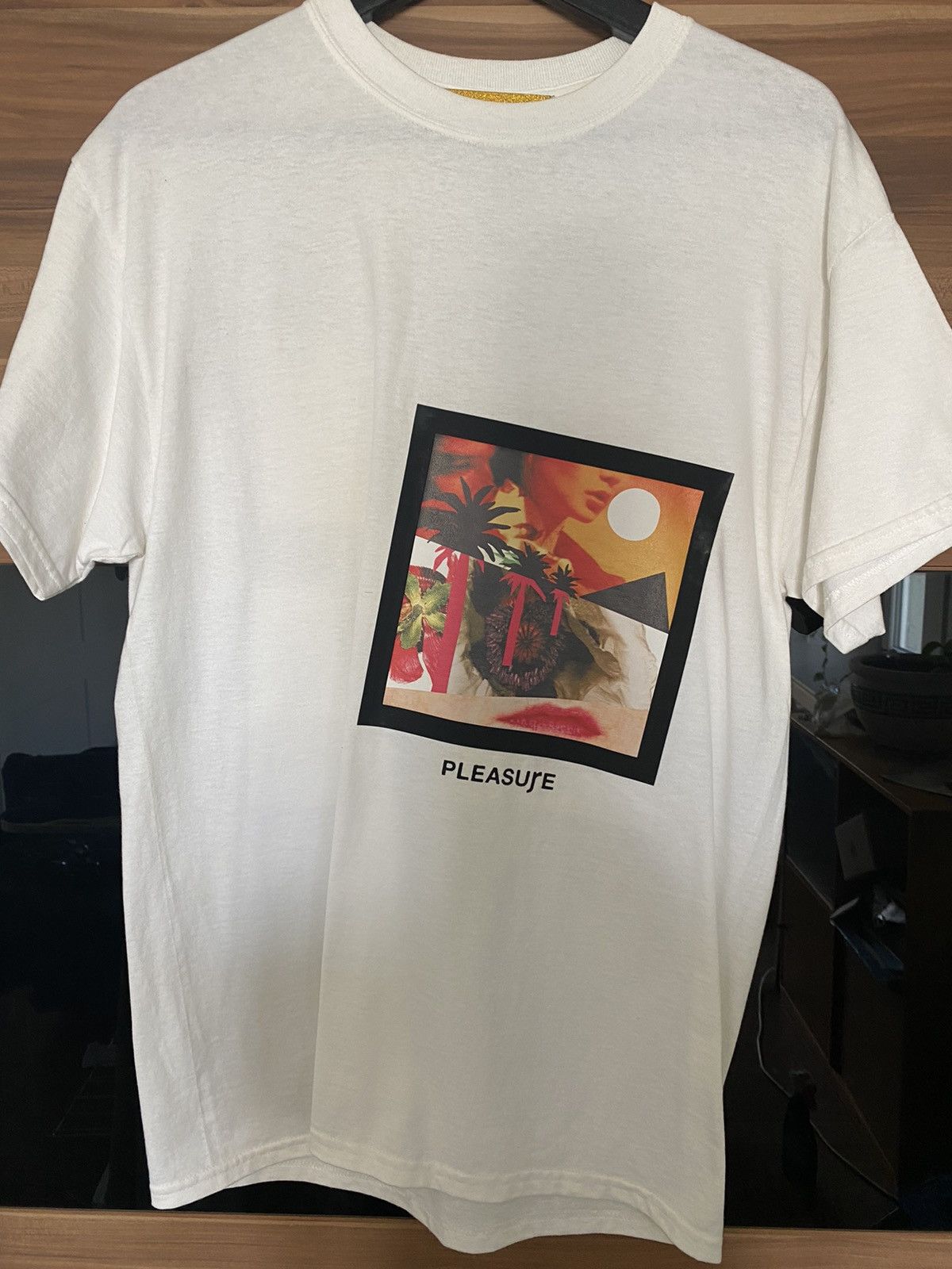 Pleasures Pleasure x DSM Special dover street market rare limited Size US M / EU 48-50 / 2 - 2 Thumbnail