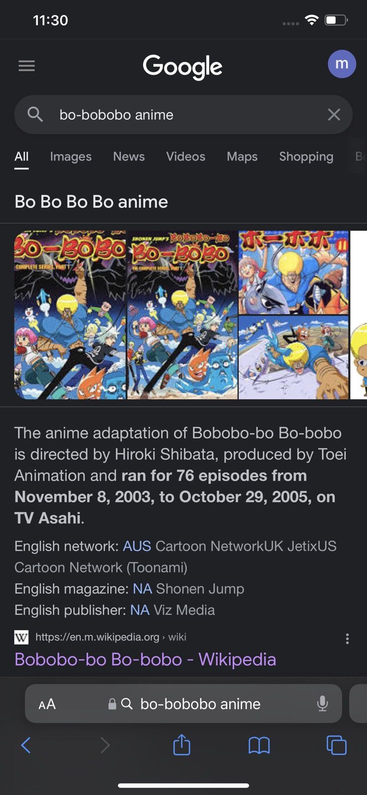 BOBOBO-BO BO-BOBO KNITTED SWEATER VINTAGE ANIME