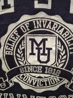 Japanese Brand Vintage Minnesota University Embroidery Sweatshirt Size US L / EU 52-54 / 3 - 7 Thumbnail