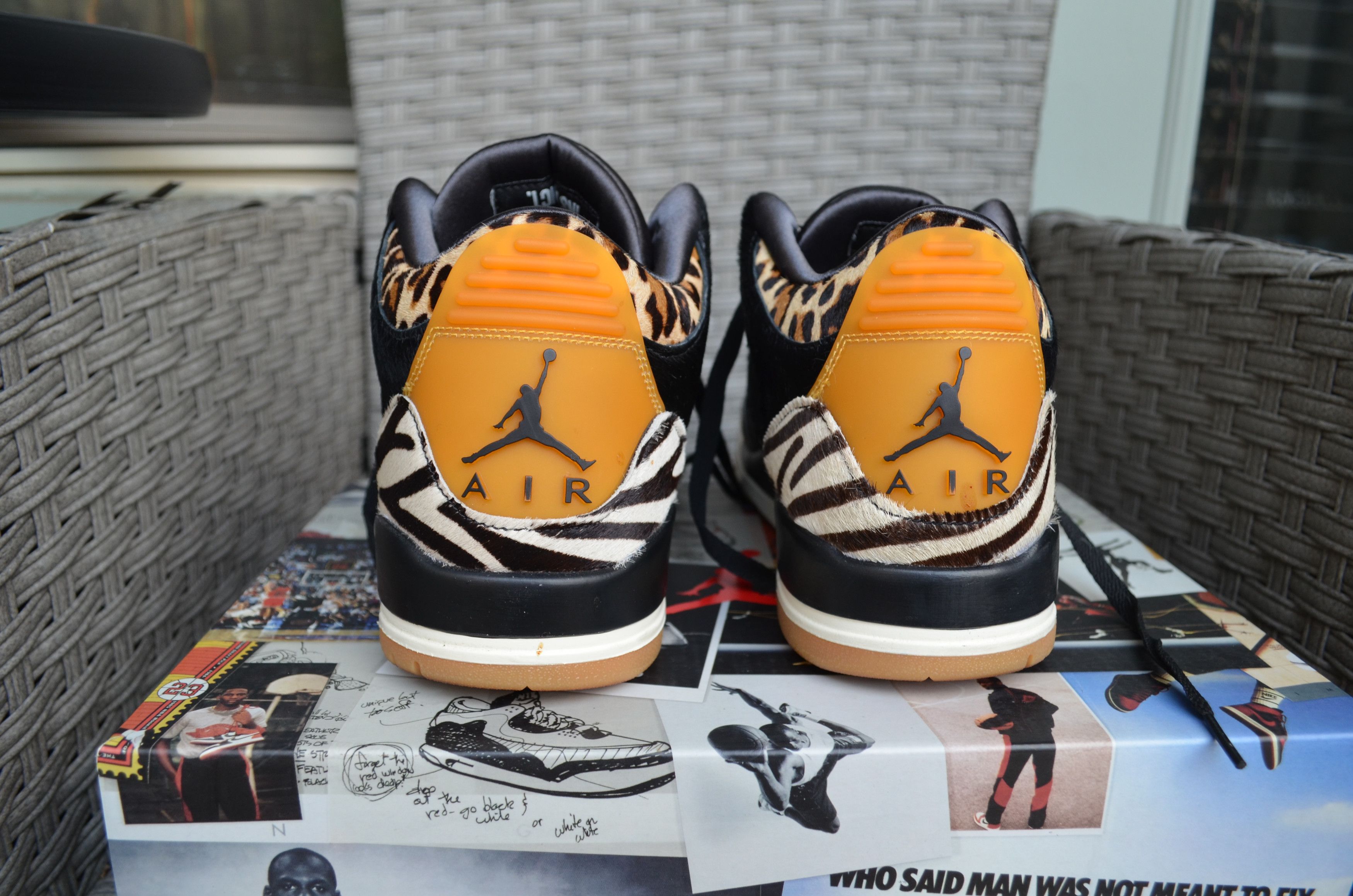 Jordan Retro SE Animal Instinct