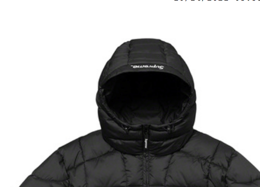 Supreme Warp Hooded Puffy Jacket /