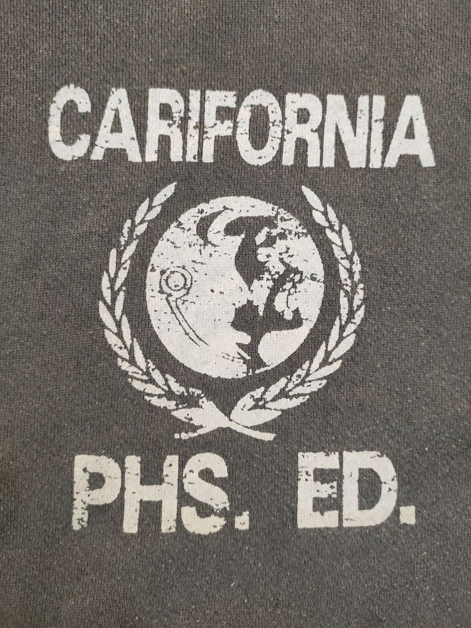 Tultex × Vintage Vintage California PHS. ED Hoodie Size US L / EU 52-54 / 3 - 2 Thumbnail