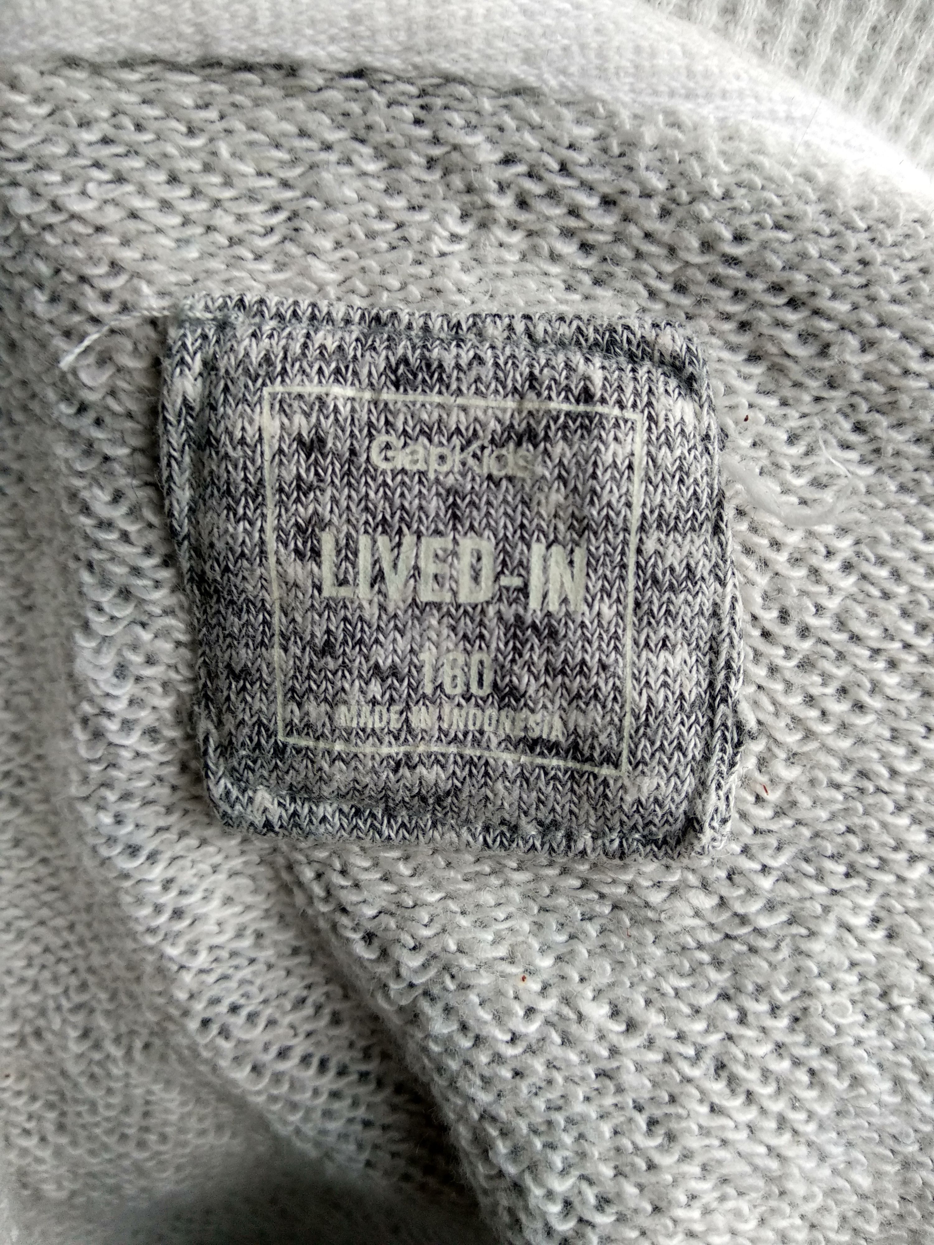 Gap Gap Kids Sweater Hoodie/Gray Colour/Size 160 Kids/ Size US S / EU 44-46 / 1 - 6 Thumbnail