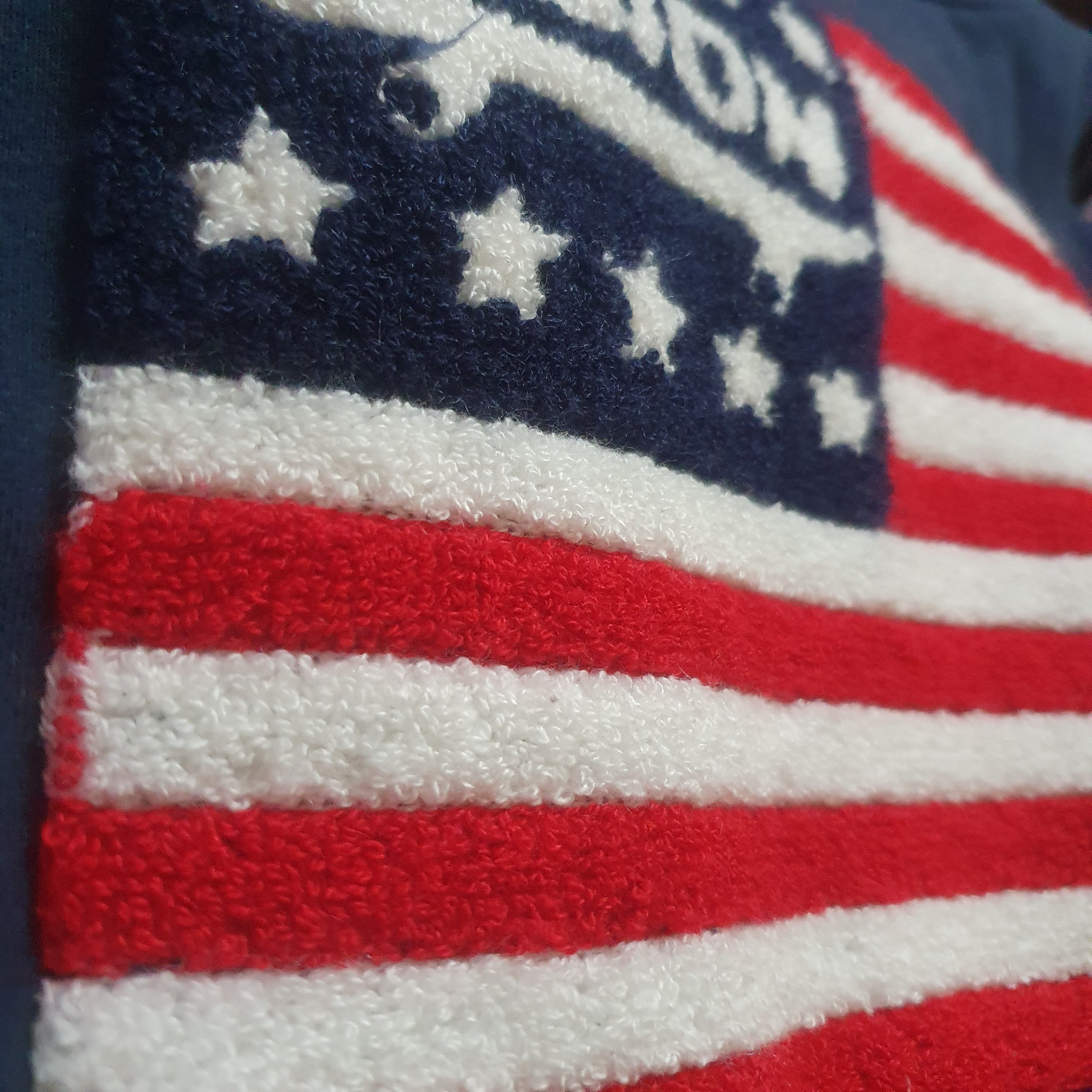 Vision Streetwear HOODIES VISION STREET WEAR CARPET LOGO US FLAG Size US L / EU 52-54 / 3 - 4 Thumbnail