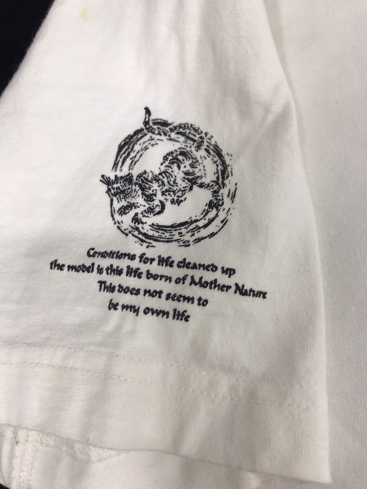 Hall Of Fame Vintage Hall of Fame Blessed the God Tiger Printed Tee Size US M / EU 48-50 / 2 - 7 Thumbnail
