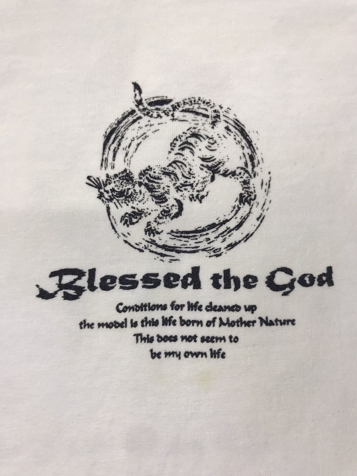 Hall Of Fame Vintage Hall of Fame Blessed the God Tiger Printed Tee Size US M / EU 48-50 / 2 - 5 Thumbnail