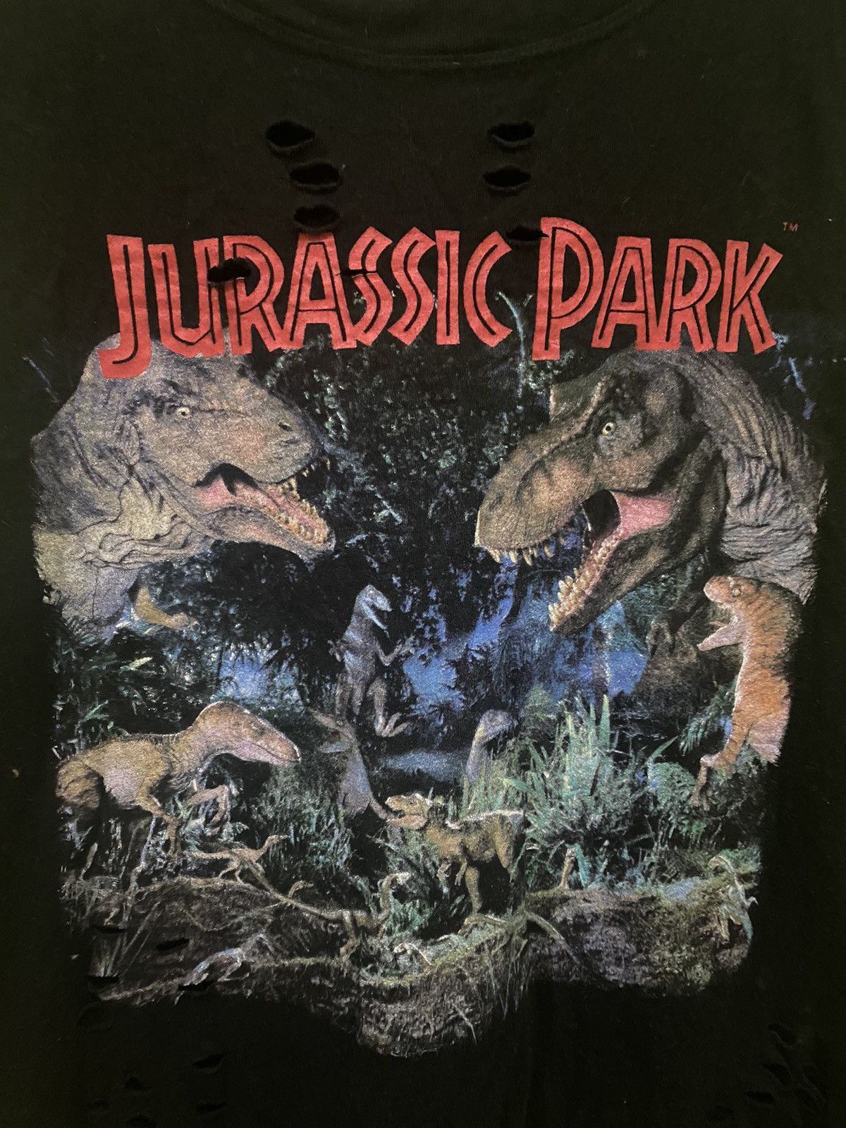 Vintage Hole Design Jurassic Park T-Shirt Size US M / EU 48-50 / 2 - 3 Thumbnail