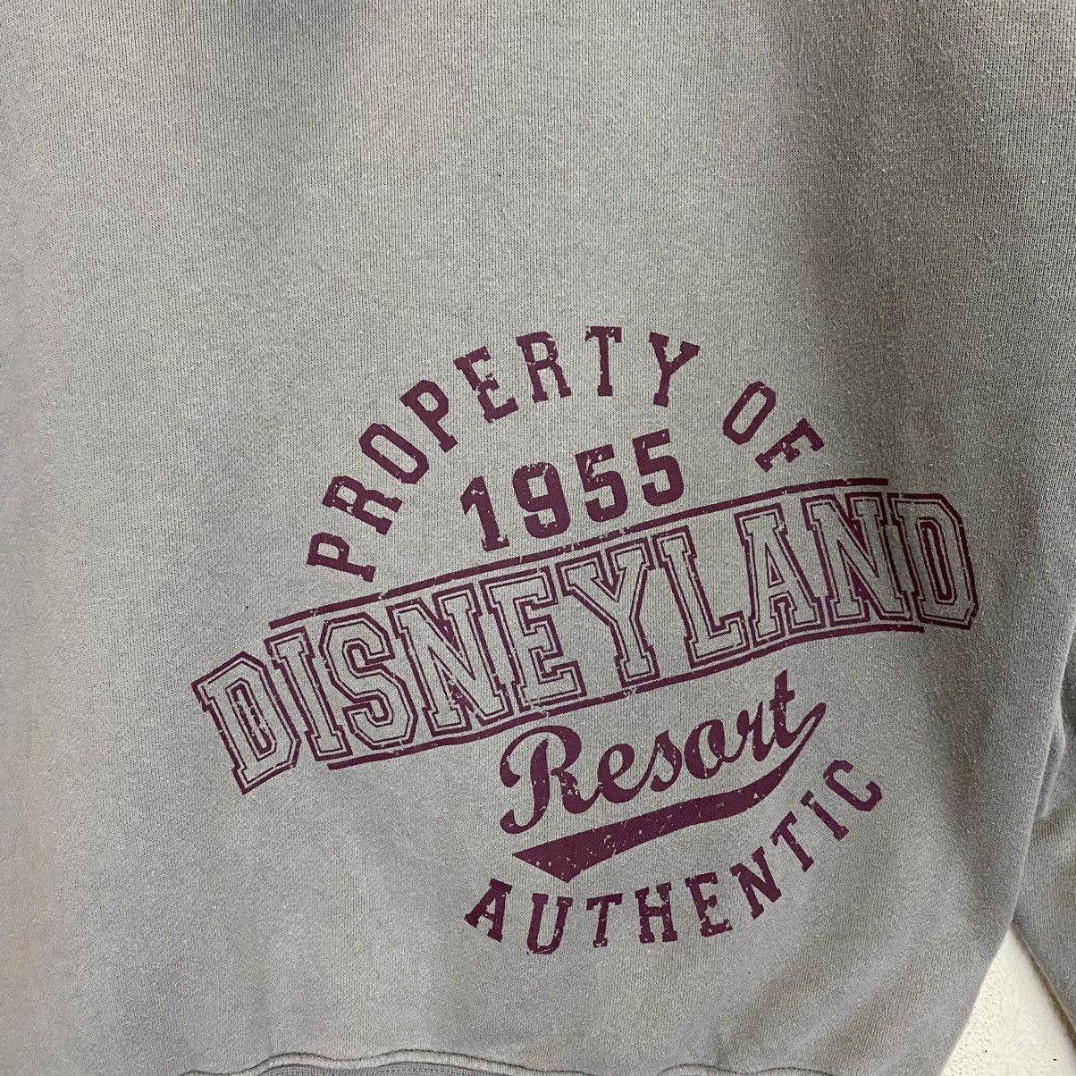 Disney × Vintage Disney Parks Authentic Big Logo Zipper Hoodie Size US M / EU 48-50 / 2 - 9 Thumbnail