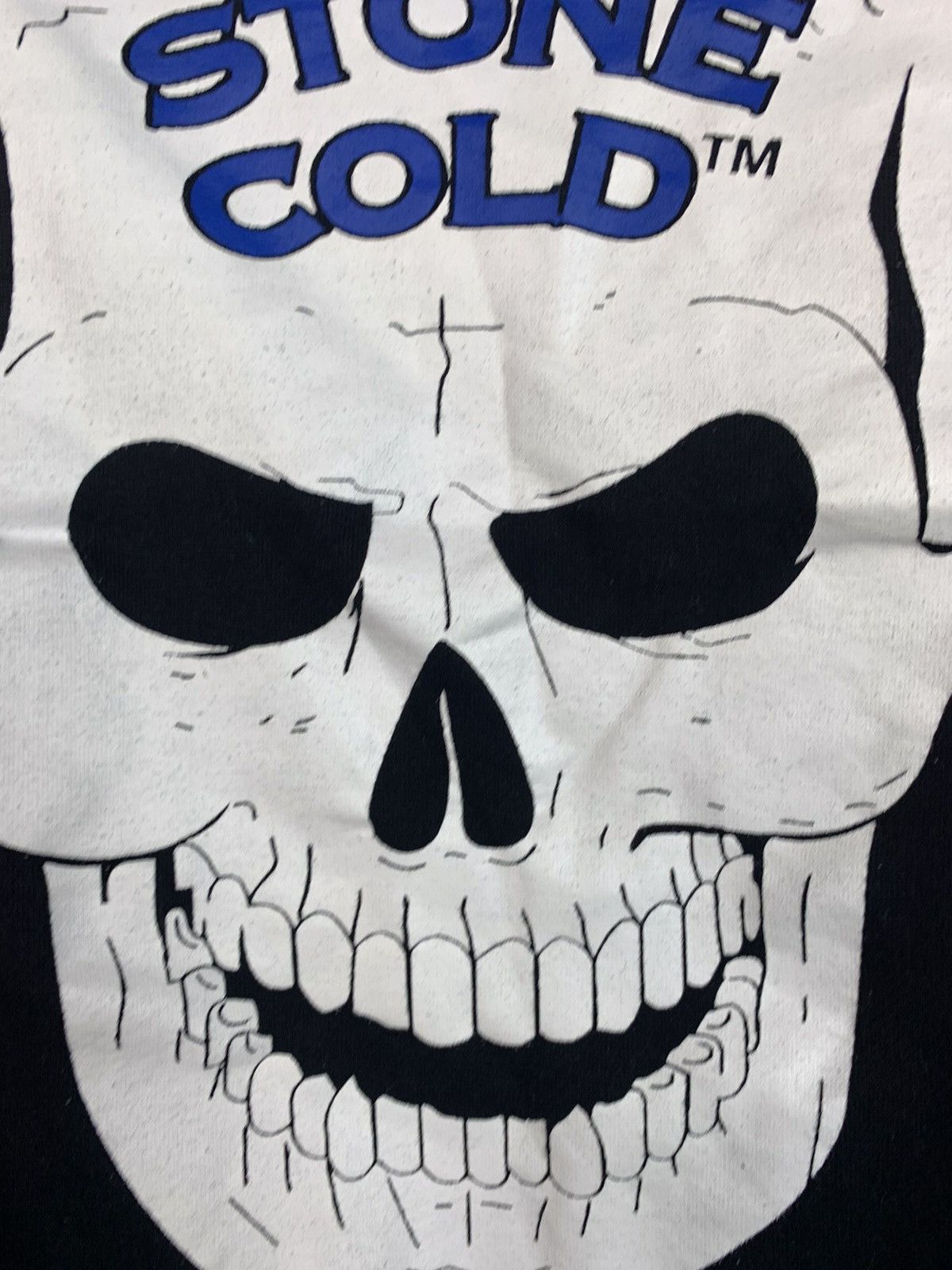 Vintage WWE Wrestling Steve Austin Stone Cold Skull Vintage Hoodie Size US L / EU 52-54 / 3 - 20 Thumbnail