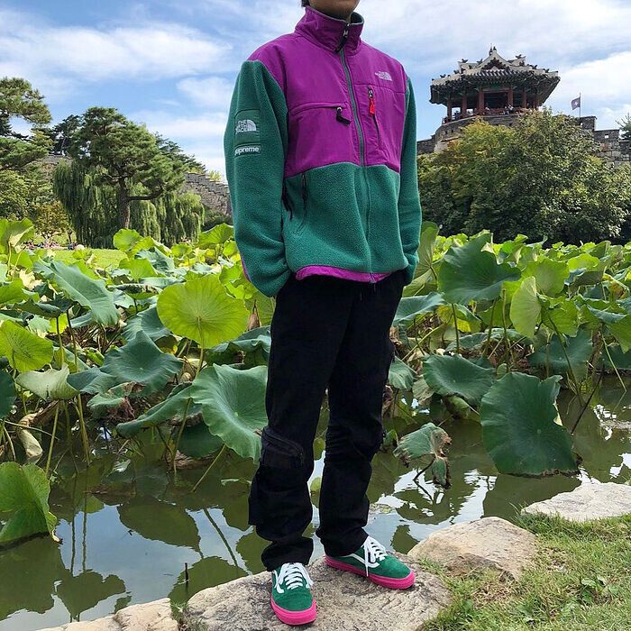 Supreme Supreme x The North Face Denali Fleece Green Magenta SS08 | Grailed