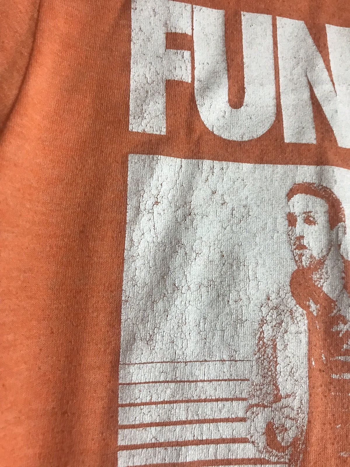 Band Tees 2013 FUN tour t-shirt Size US M / EU 48-50 / 2 - 4 Thumbnail