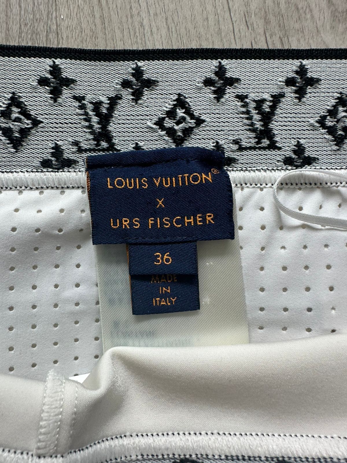 Louis Vuitton Louis Vuitton x Urs Fischer Track Shorts Size 26" / US 2 / IT 38 - 3 Thumbnail