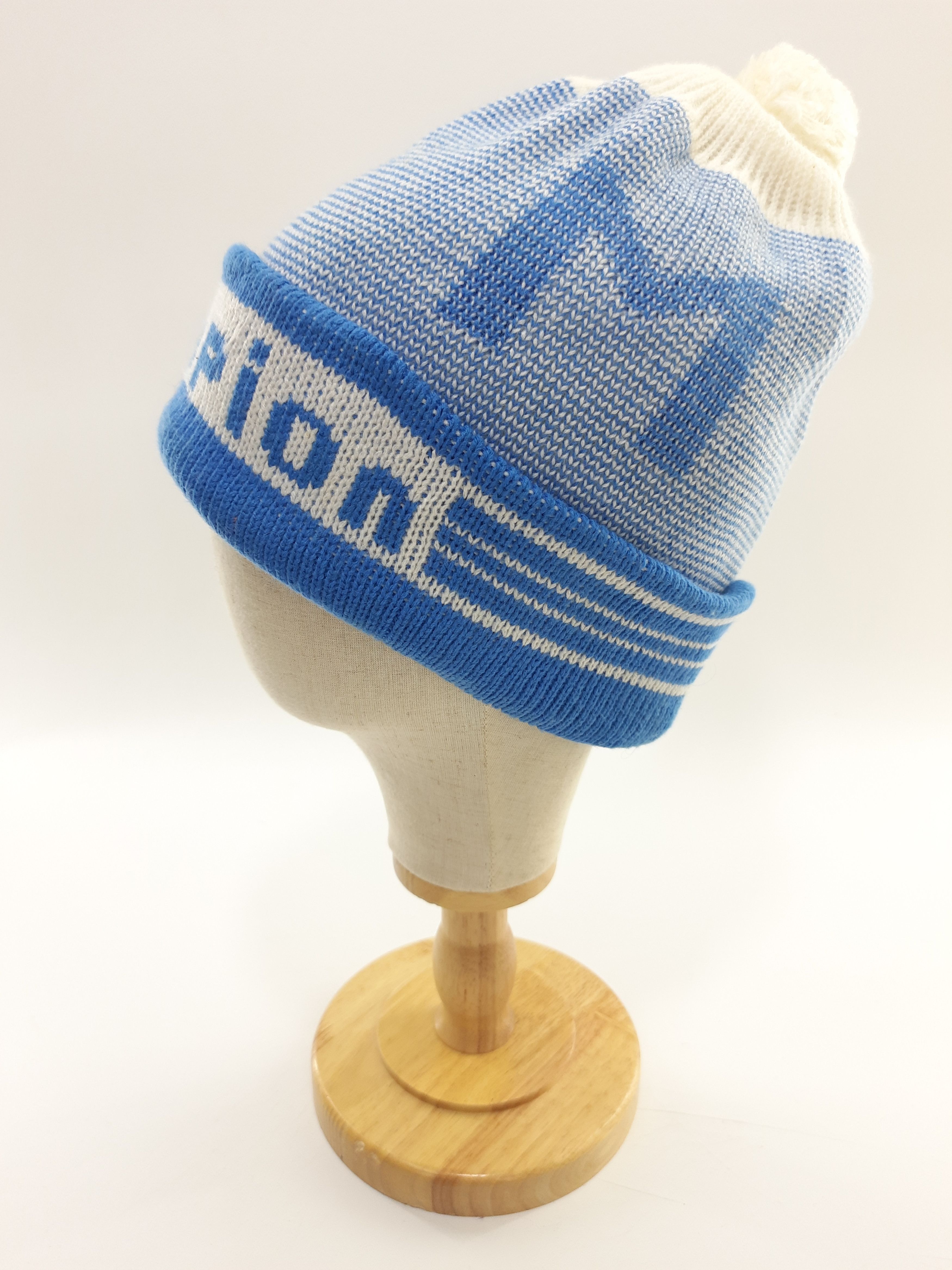 Champion Beanie/Snowcap/Cap/Hat BN49