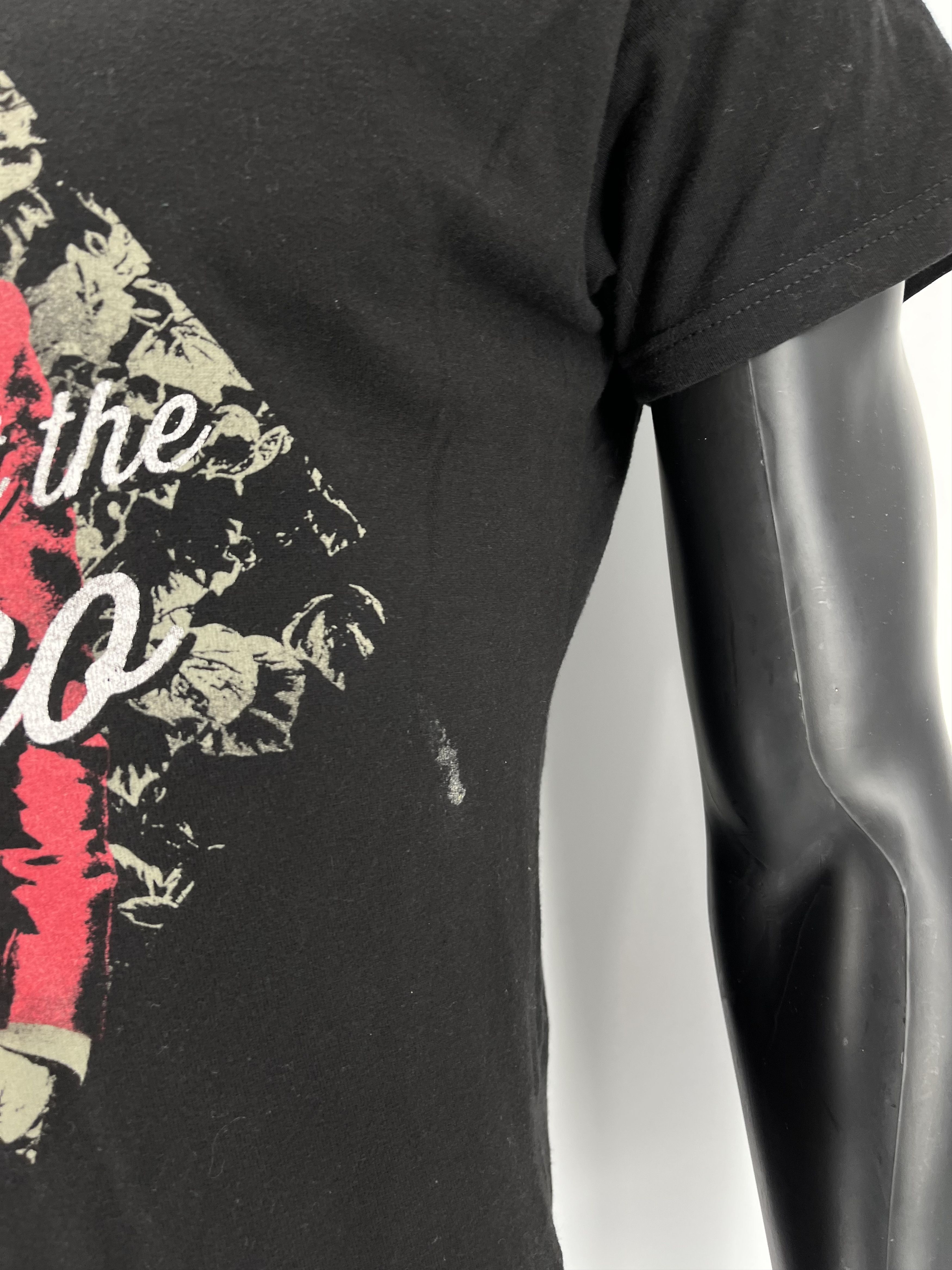 Band Tees Panic at the Disco vintage rock band tee Size US L / EU 52-54 / 3 - 5 Thumbnail