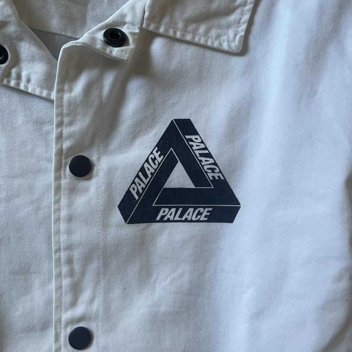 Dover Street Market × Palace Palace x DSM "Jungle" Tri-Ferg Coach Size US S / EU 44-46 / 1 - 3 Thumbnail