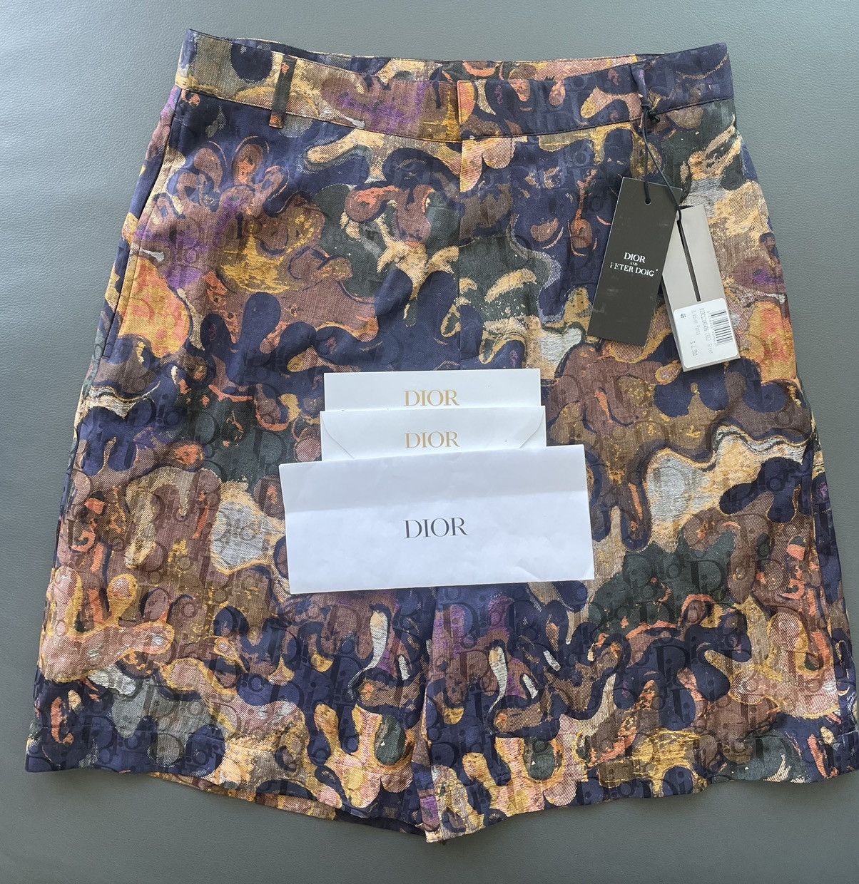 Dior Brand New Limited Edition Runway Dior Oblique Logo Shorts Size US 29 - 5 Thumbnail