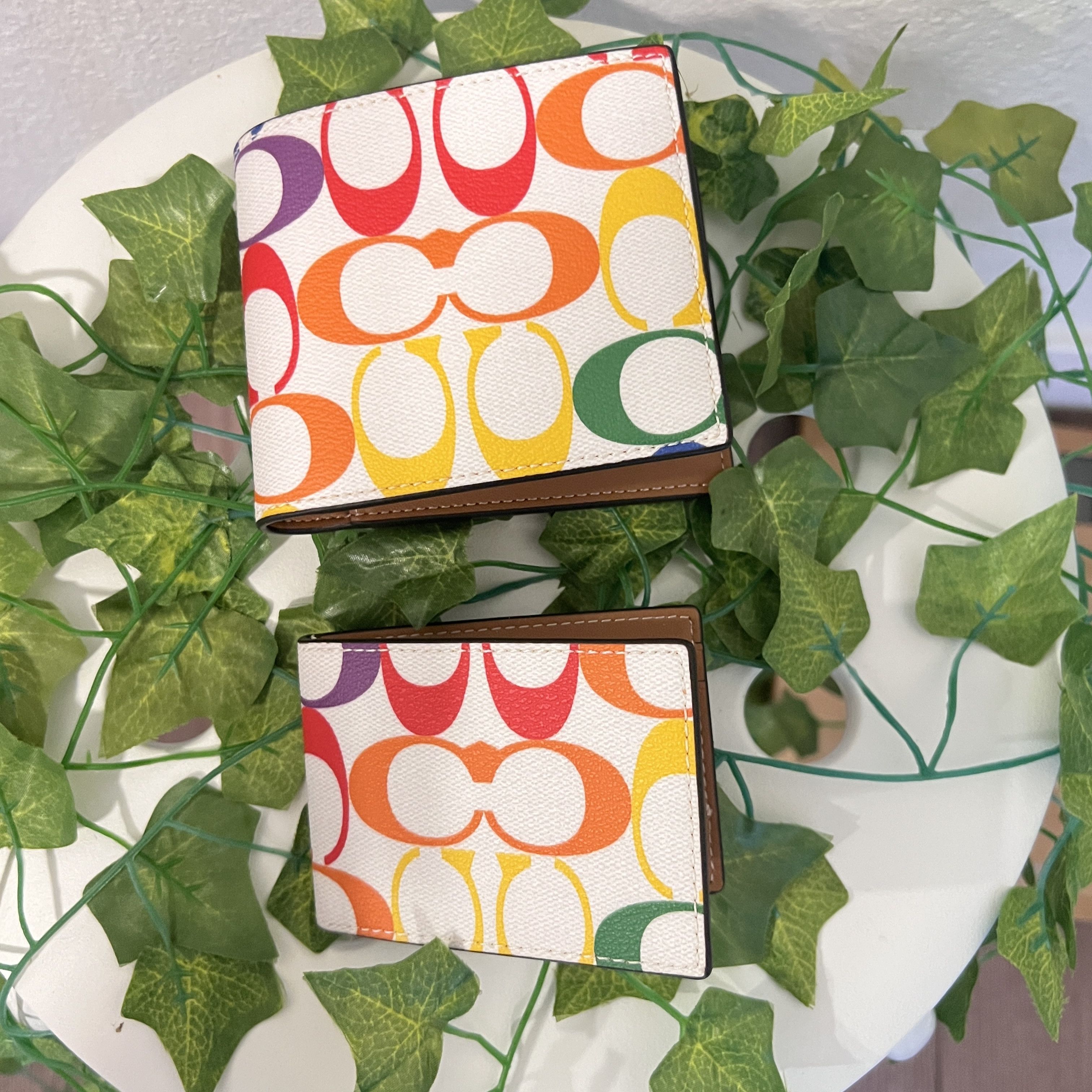 coach In Wallet In Rainbow Signature Canvas C9863