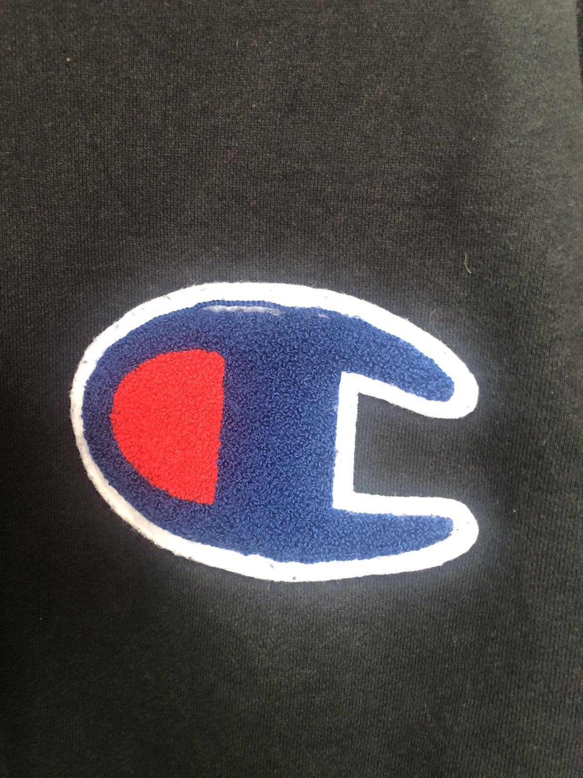 Champion Champion Hoodie Size US L / EU 52-54 / 3 - 3 Thumbnail