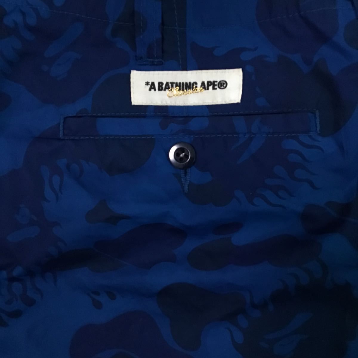 Bape BAPE fire camo nylon shorts blue flame a bathing ape ★size M Size US 32 / EU 48 - 4 Thumbnail