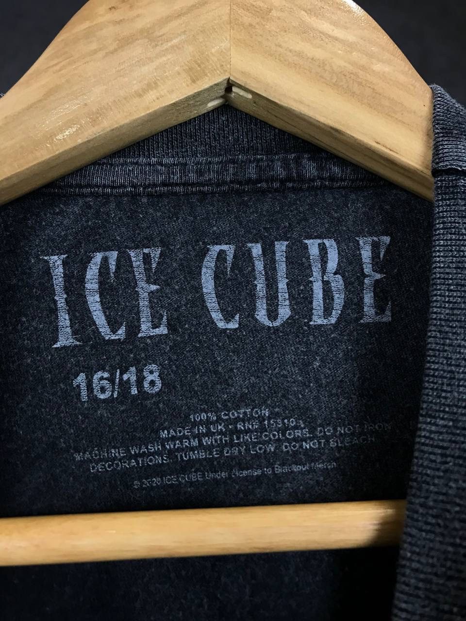 Band Tees Ice Cube vintage cult rap band tee Size US M / EU 48-50 / 2 - 3 Thumbnail