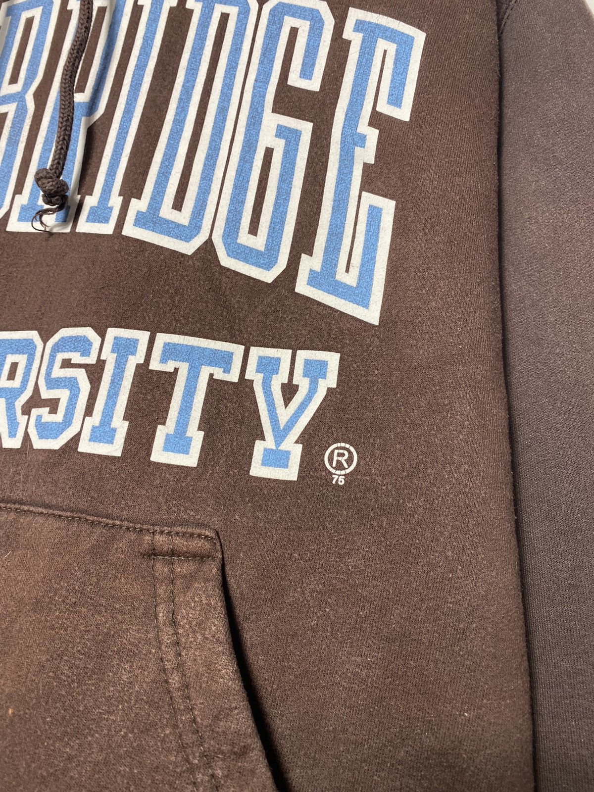 Vintage Vintage Cambridge university dark brown distressed hoodie Size US L / EU 52-54 / 3 - 3 Thumbnail
