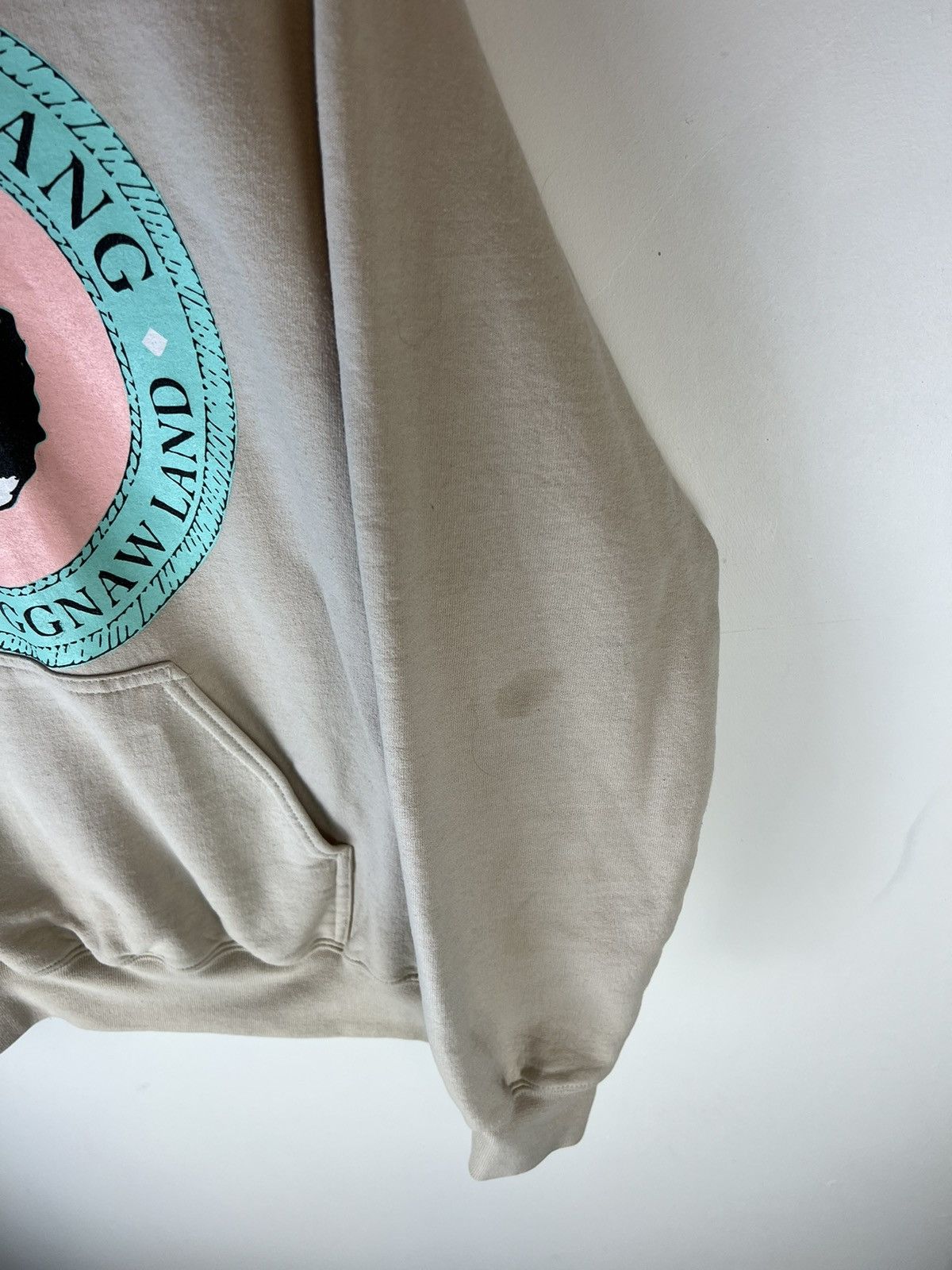 Golf Wang Golf wang The great wang of the floggnaw land hoodie Size US S / EU 44-46 / 1 - 4 Thumbnail