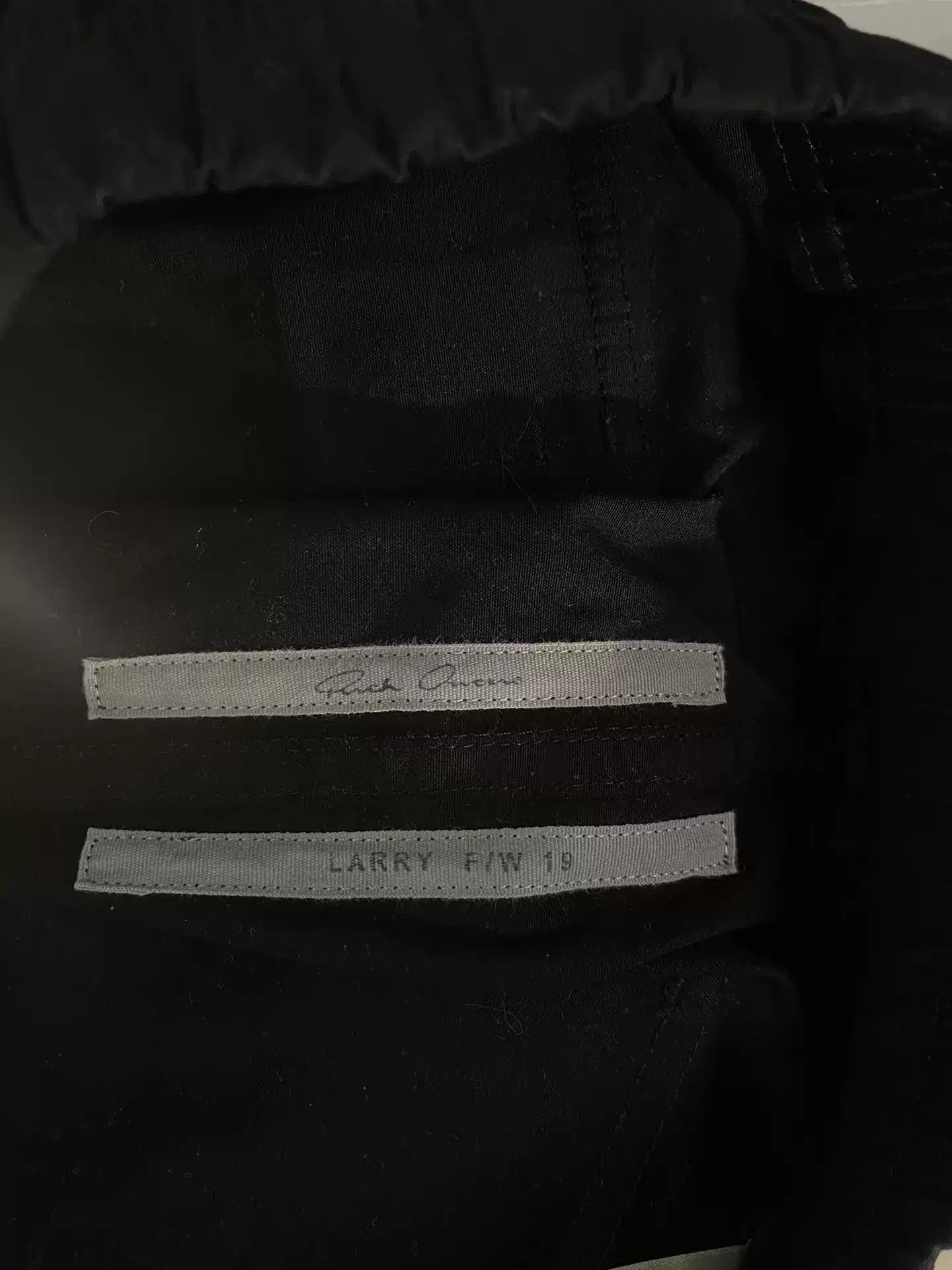 Rick Owens Rick Owens ro suede cloth pants Size US 34 / EU 50 - 5 Thumbnail