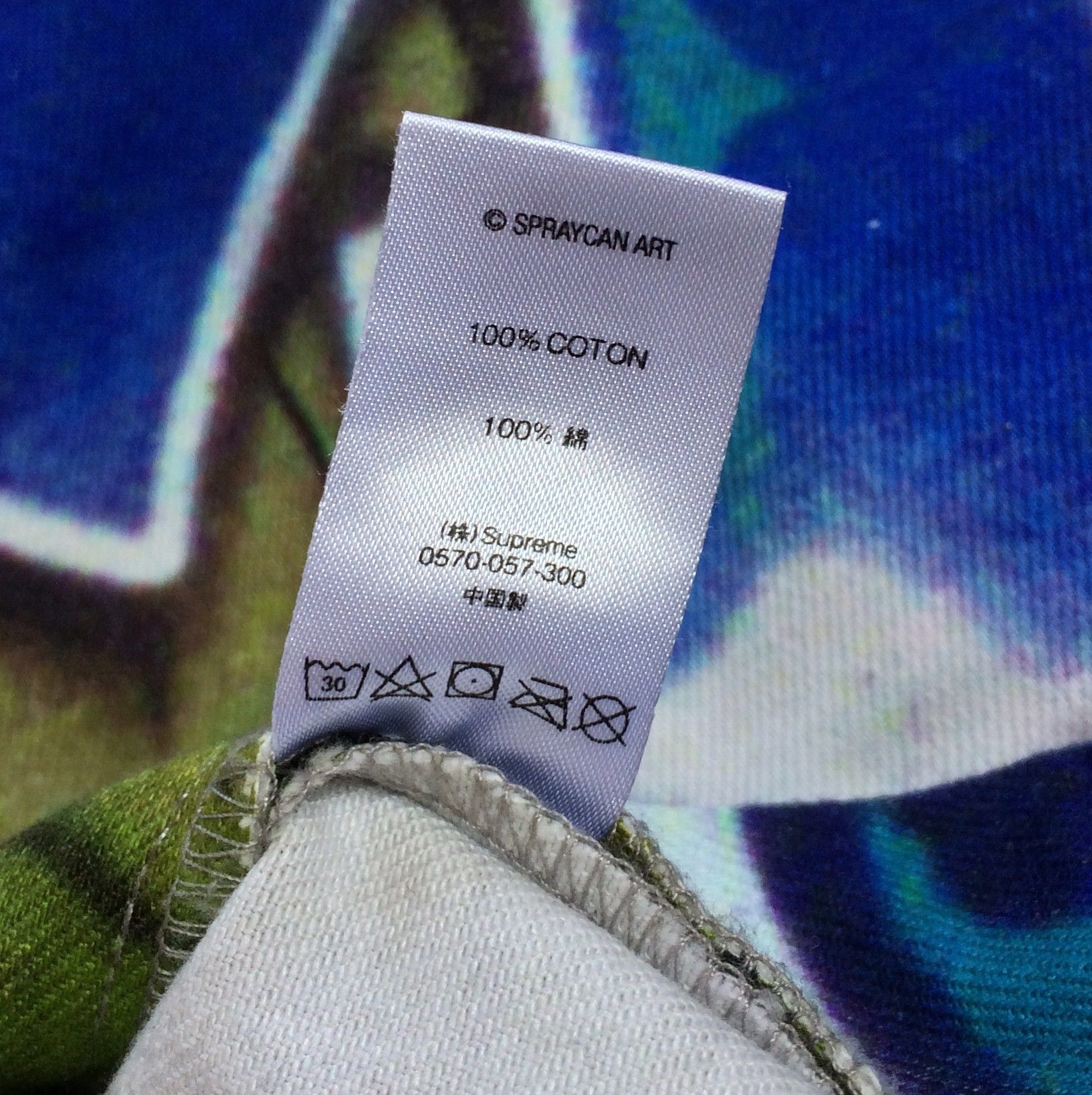 Supreme S/S 2018 Supreme Lion's Den Painter Shorts Size US 32 / EU 48 - 6 Thumbnail