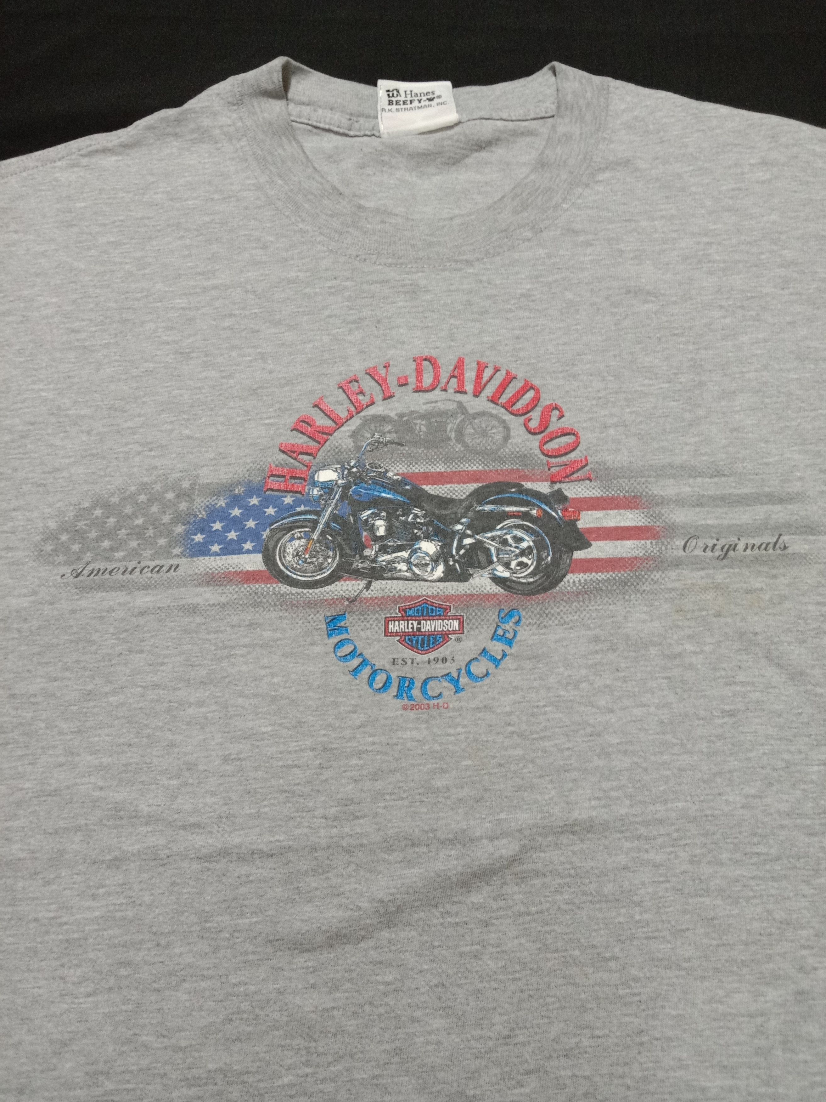 Hanes Vintage Harley Davidson Motorcycles Zepka Johnstown PA Size US L / EU 52-54 / 3 - 1 Thumbnail