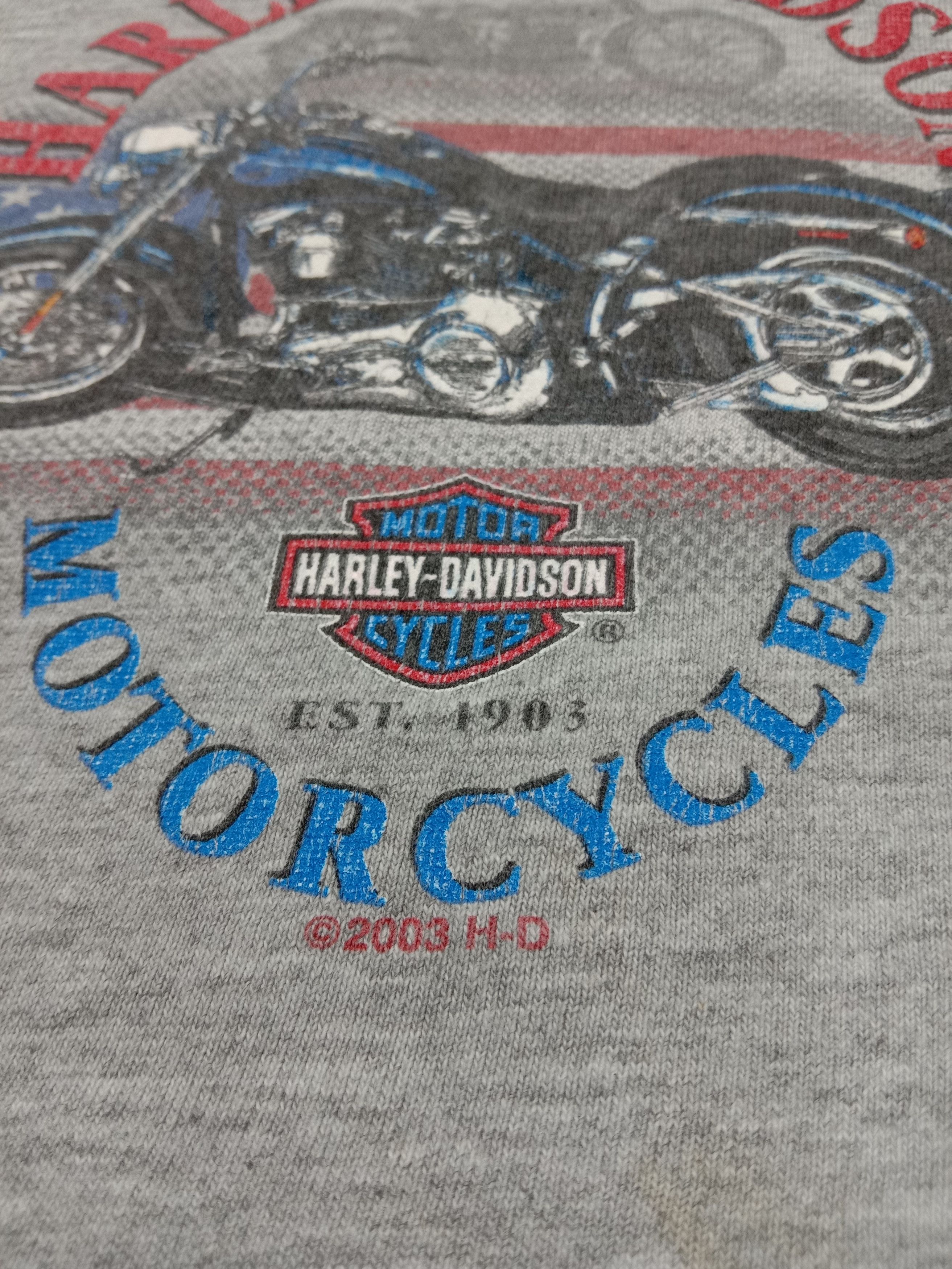Hanes Vintage Harley Davidson Motorcycles Zepka Johnstown PA Size US L / EU 52-54 / 3 - 11 Thumbnail