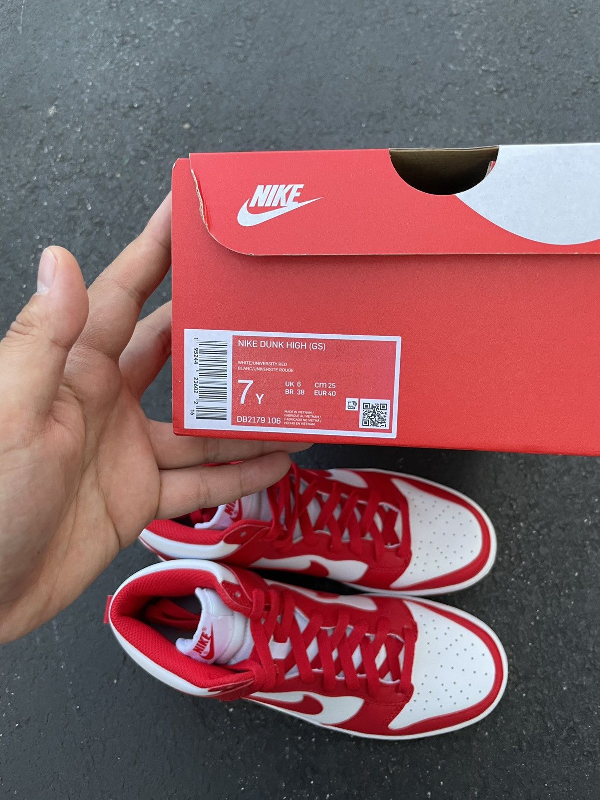 Nike championship dunk high