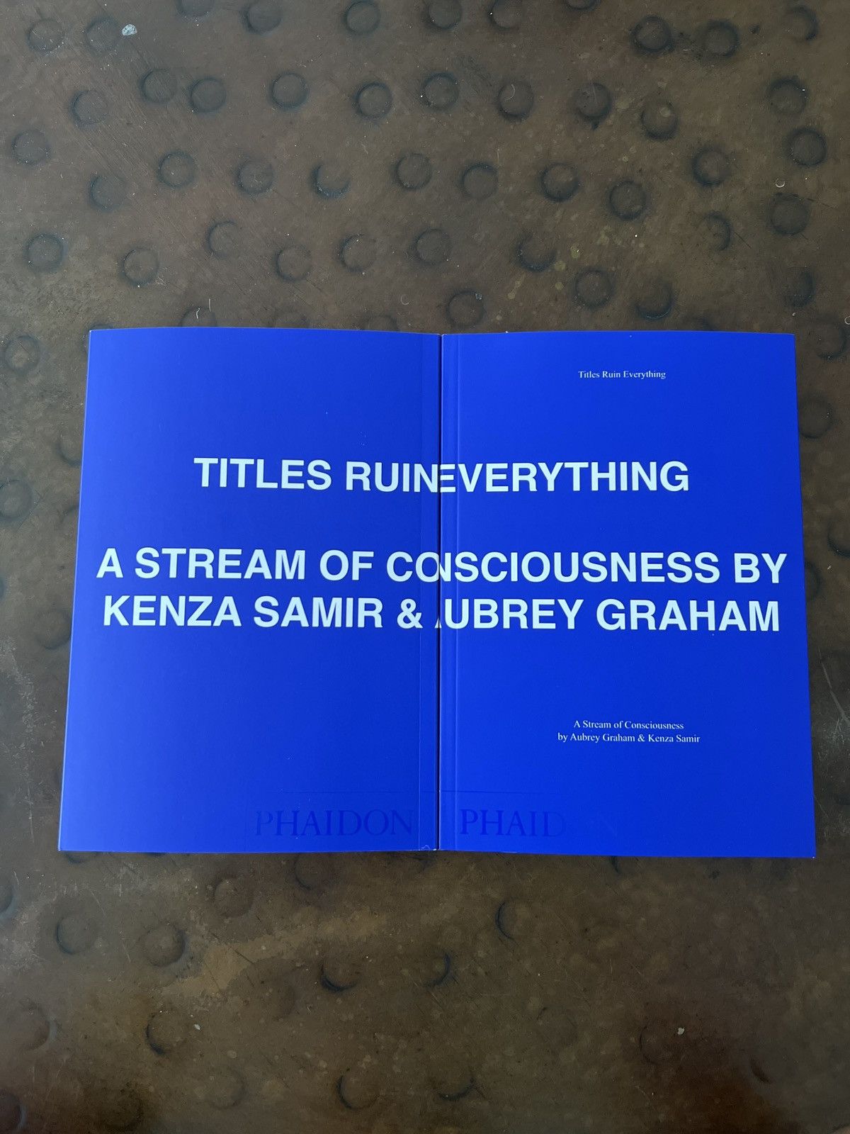 RARE store Titles Ruin Everything: A Stream of Consciousness - Drake's book -Air Drake