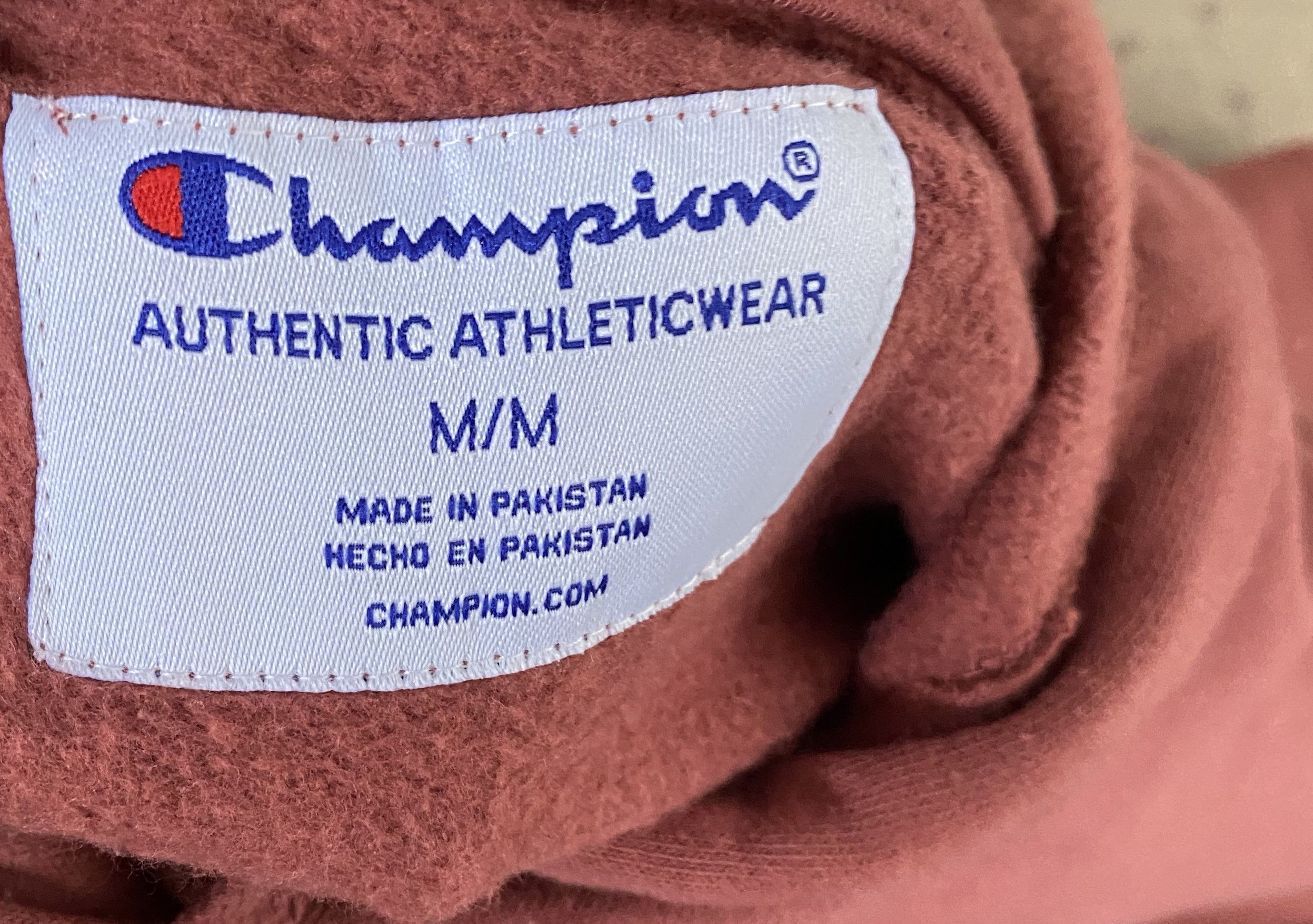Champion Champion Script Logo Hoodie Size M / US 6-8 / IT 42-44 - 4 Thumbnail