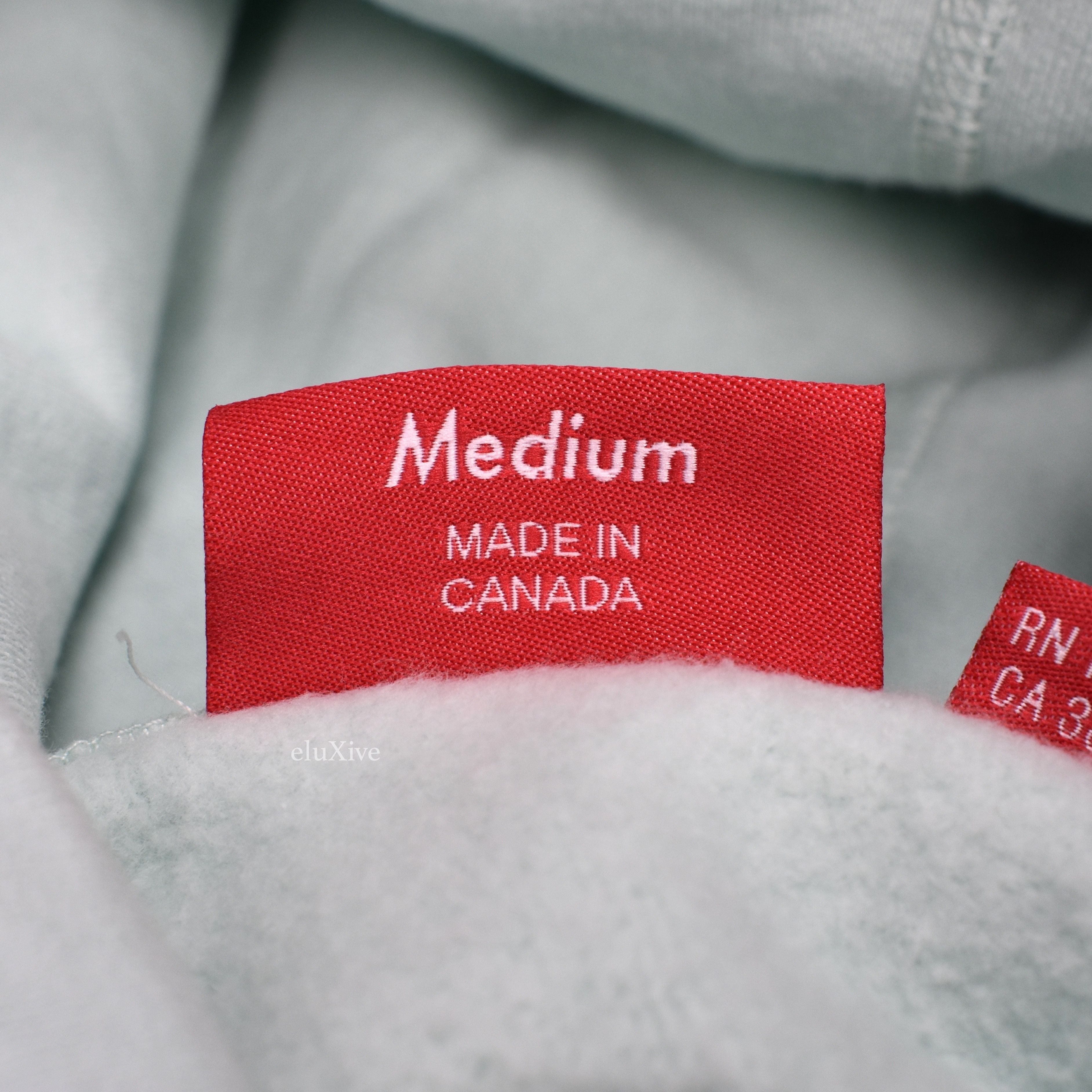 Ice Blue Centerpiece Logo Hoodie DS