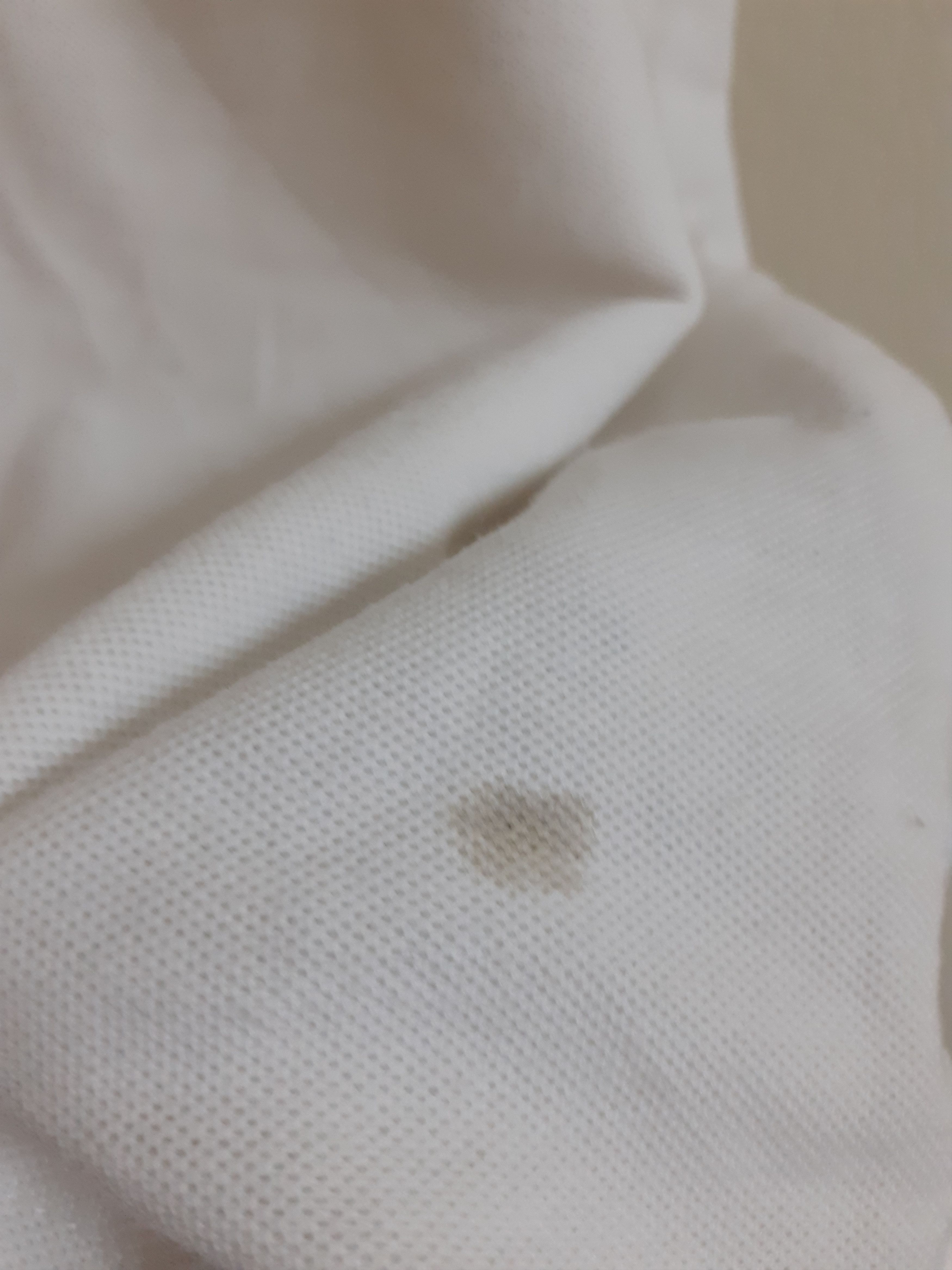 Burberry Burberry Polo T Shirt Size US L / EU 52-54 / 3 - 5 Thumbnail