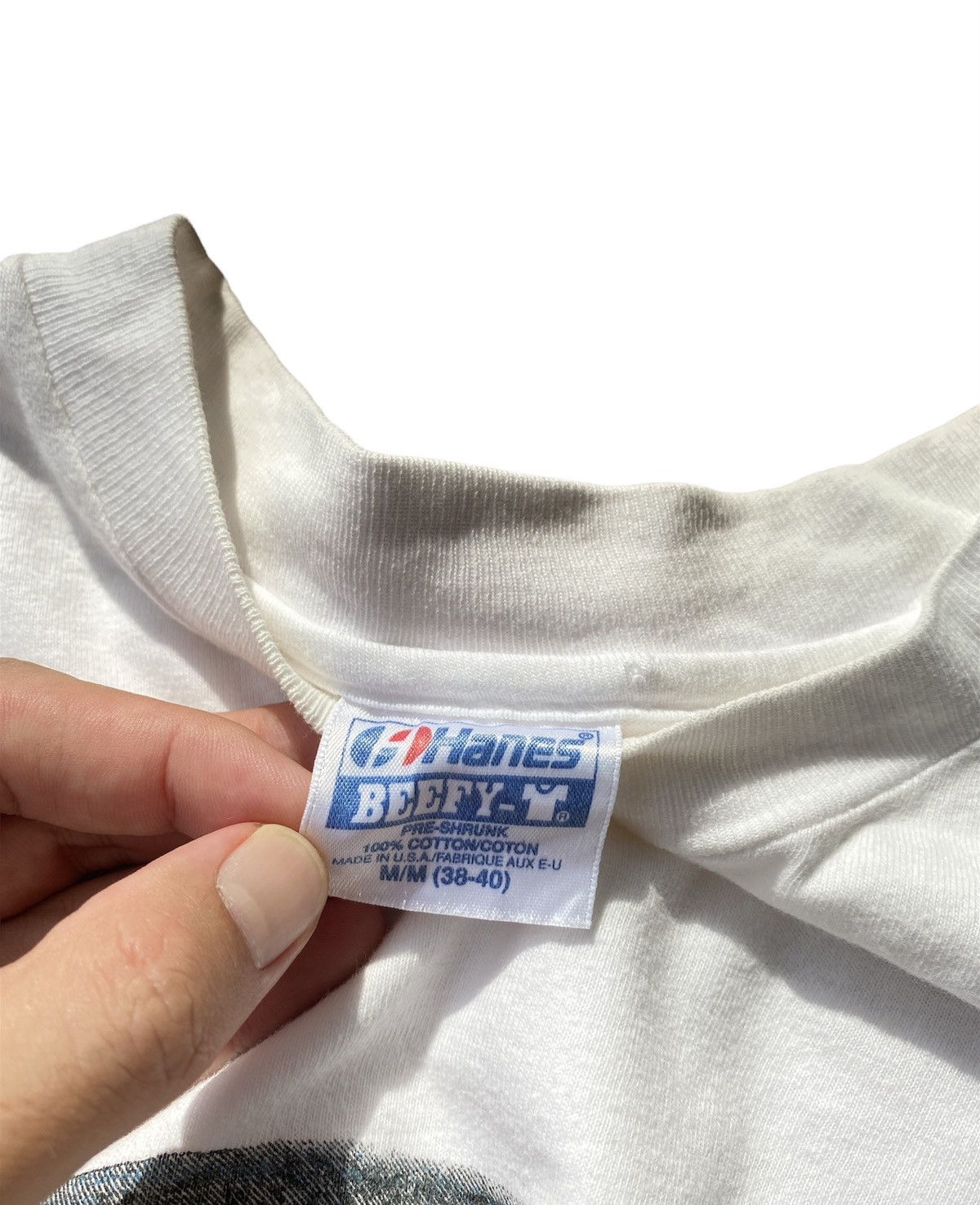 Hanes × Vintage Vintage 90s Hanes Single Stitch Nature Is Vivid Streetwear Size US M / EU 48-50 / 2 - 4 Thumbnail