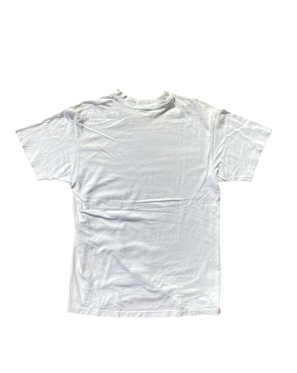 Hanes × Vintage Vintage 90s Hanes Single Stitch Nature Is Vivid Streetwear Size US M / EU 48-50 / 2 - 3 Thumbnail