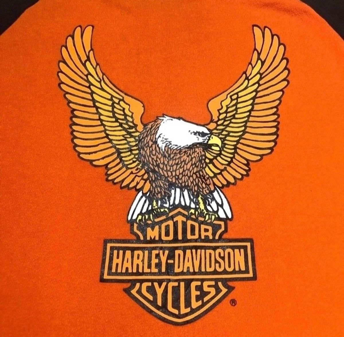 The Real McCoy's The real mccoys X harley davidson sweatshirt Size US M / EU 48-50 / 2 - 2 Thumbnail