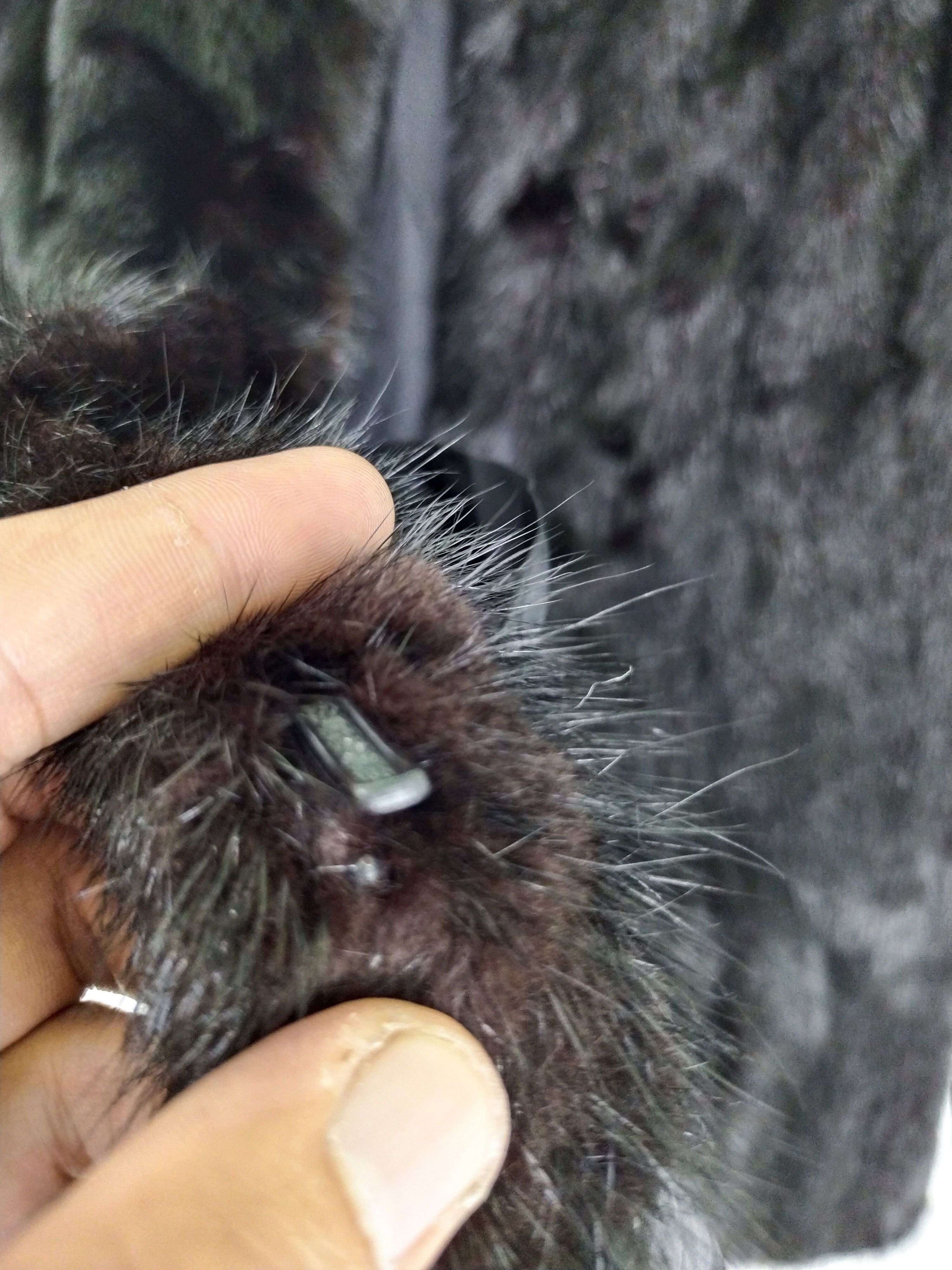Japanese Brand × Sagafurs Vintage Malvoisie by Kinoshita Bussan Japan Fur Coat Jacket Size L / US 10 / IT 46 - 6 Thumbnail