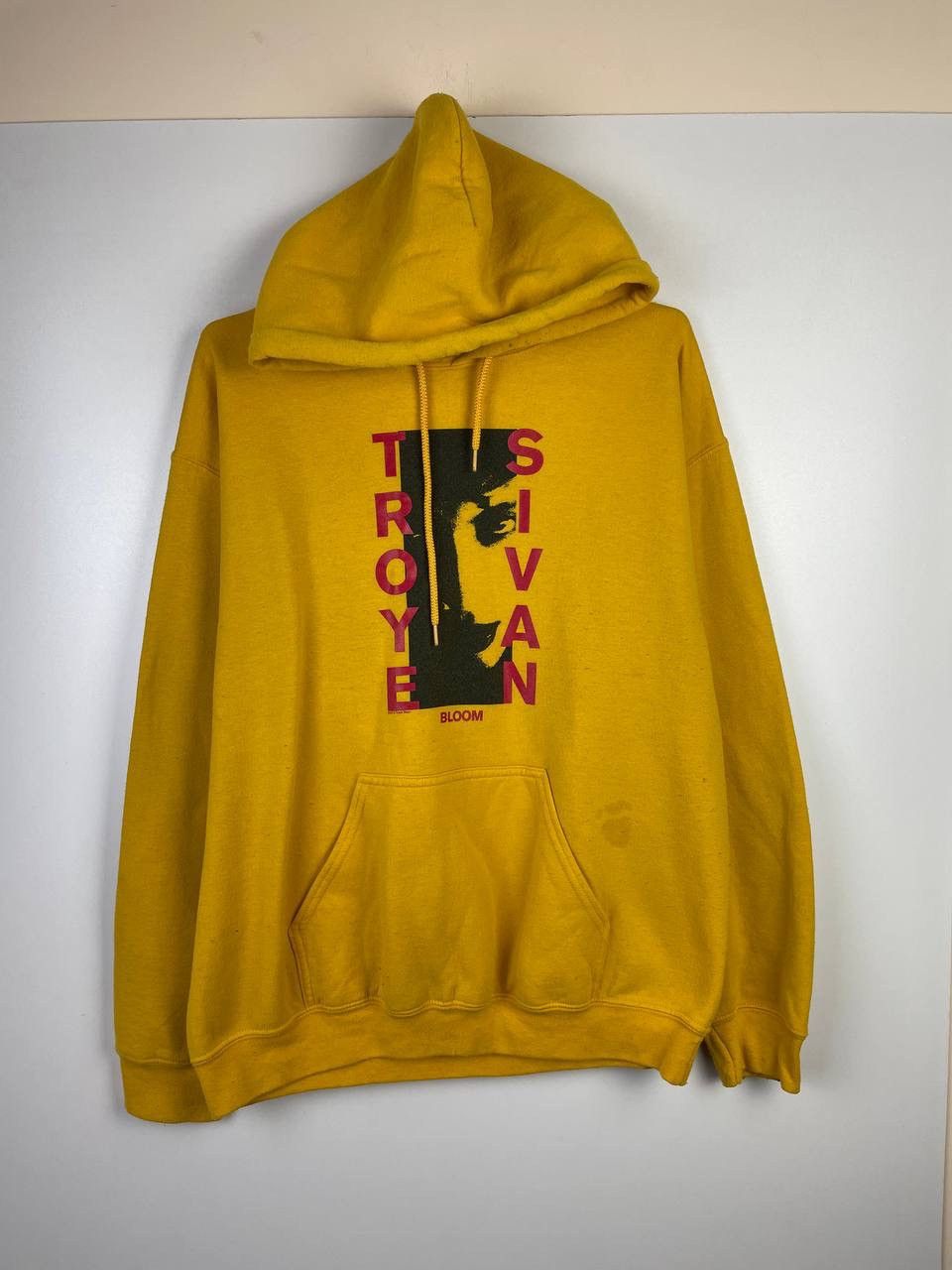 Streetwear Vintage Troye Sivan vintage hoodie size M Grailed