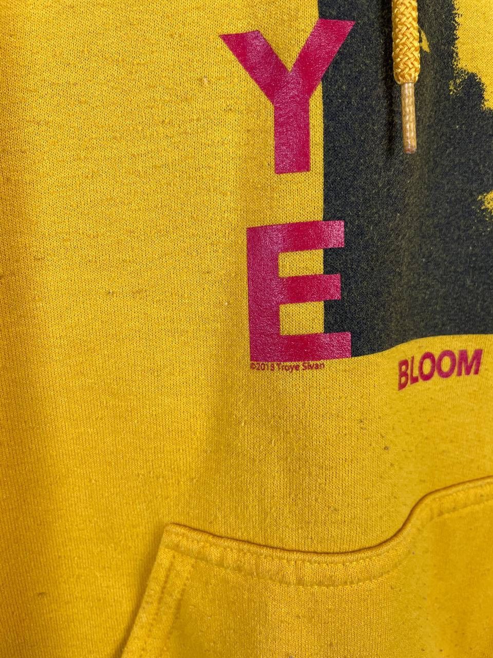 Vintage Troye Sivan vintage hoodie size M Size US M / EU 48-50 / 2 - 3 Thumbnail