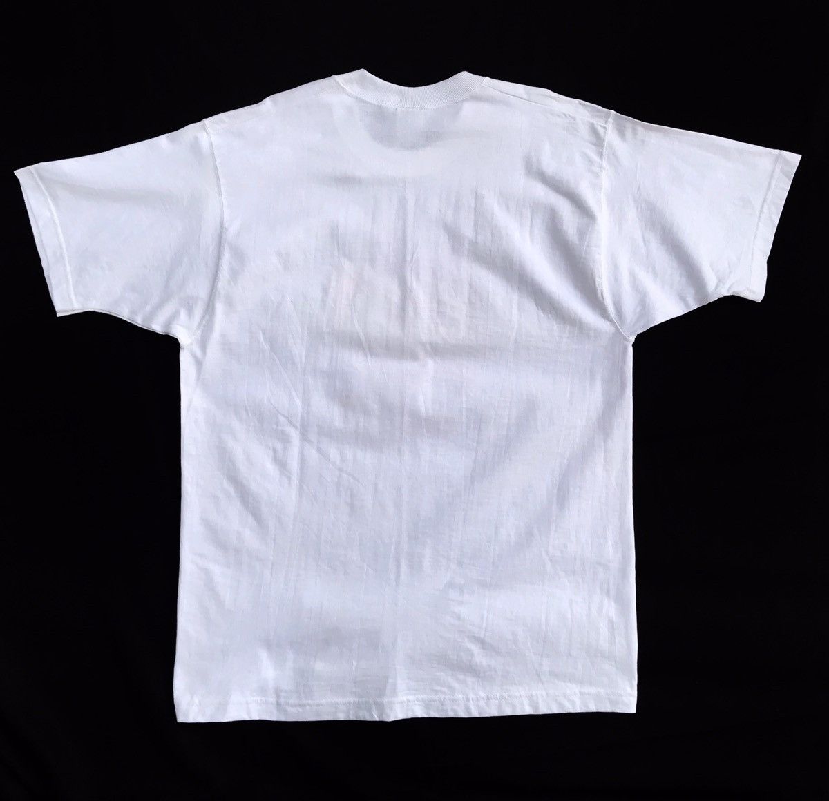 Vintage glitter dale earnhard the intimidator shortsleeve