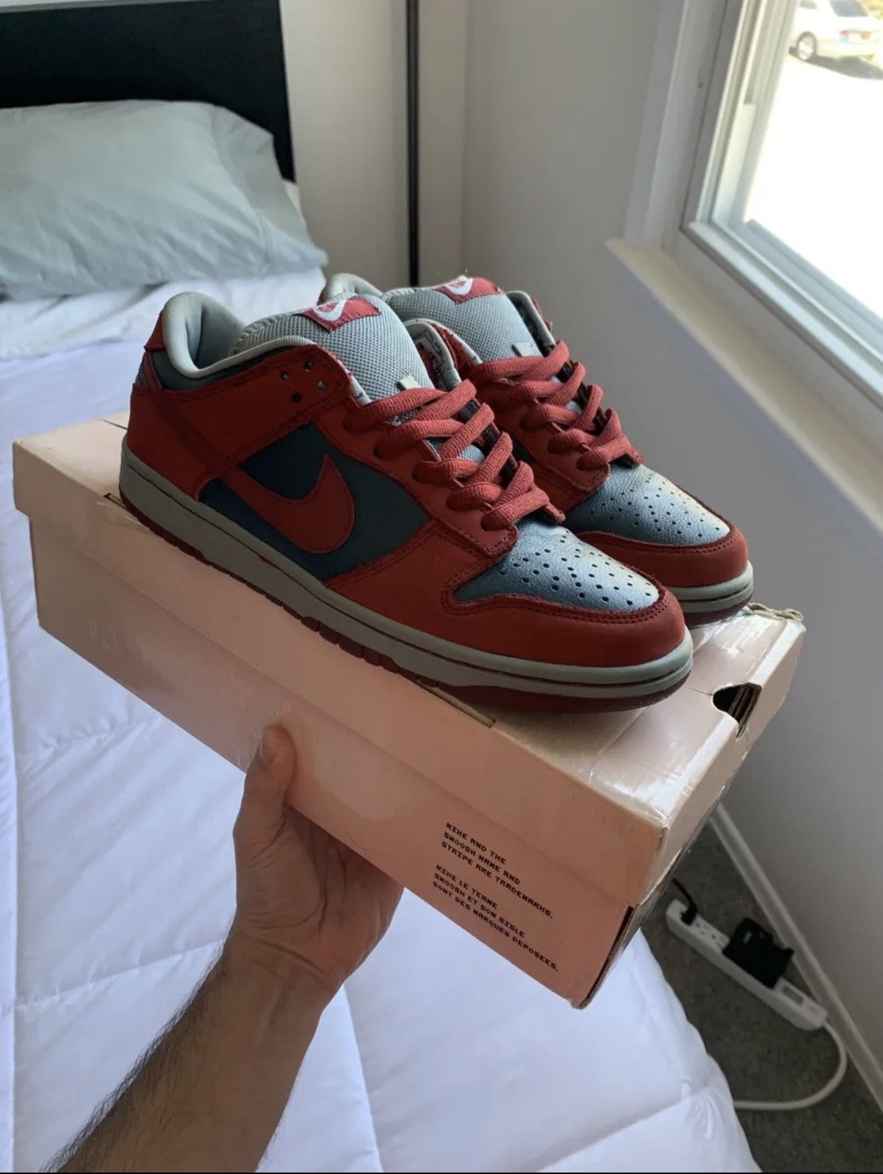 Nike Sb Shark