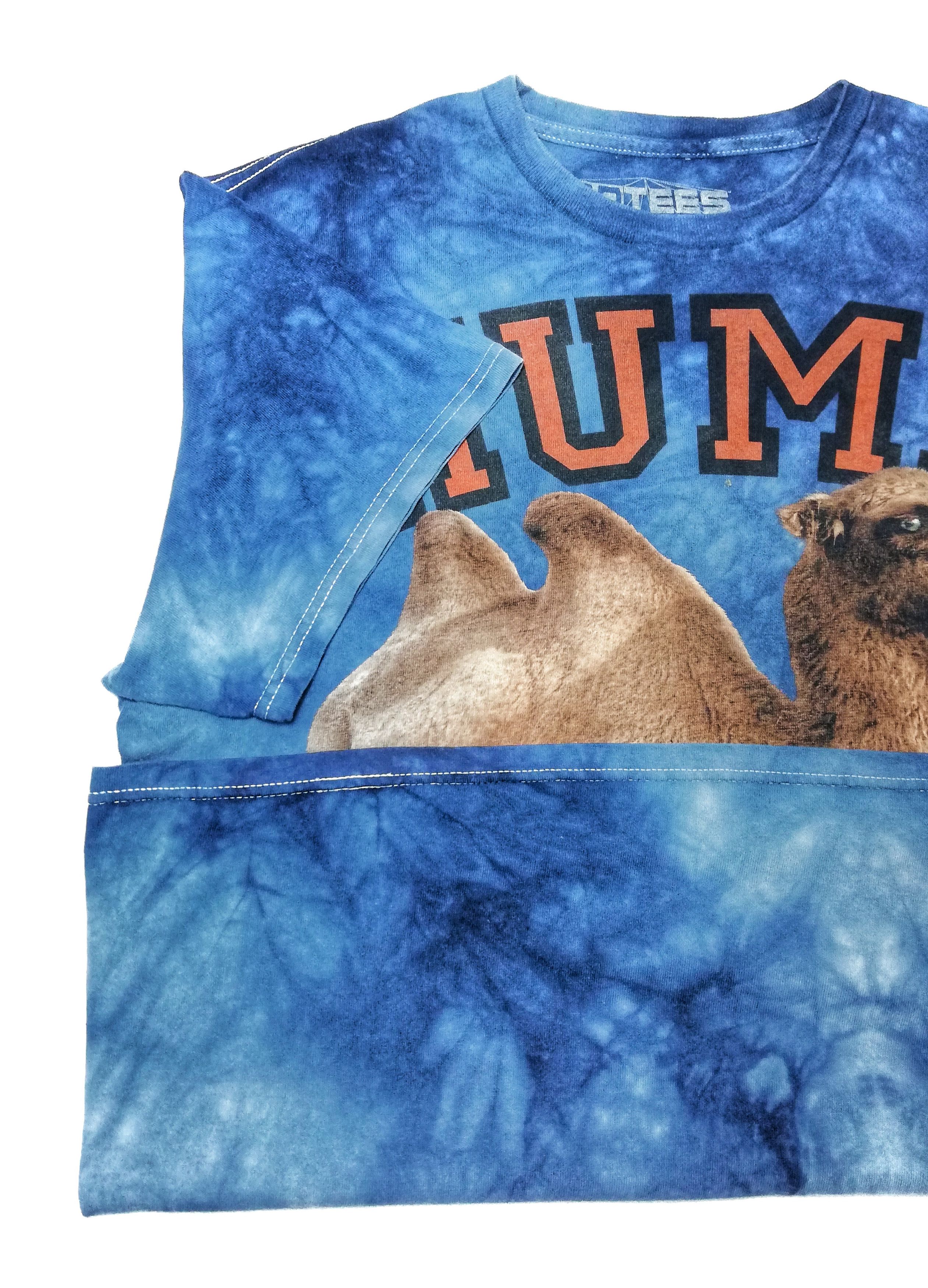 The Mountain 🔥The Mountain T-shirt Adult Camel 🐪 Tie Dye HUMP DAAAY🔥 Size US L / EU 52-54 / 3 - 4 Thumbnail