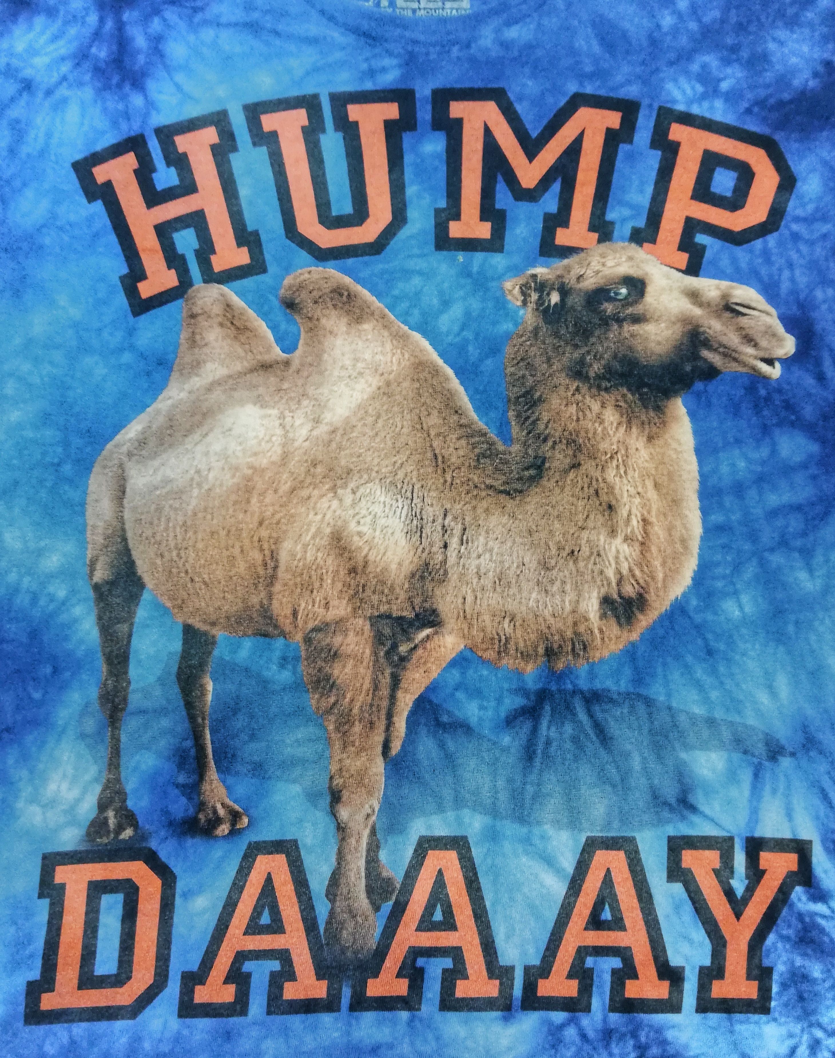The Mountain 🔥The Mountain T-shirt Adult Camel 🐪 Tie Dye HUMP DAAAY🔥 Size US L / EU 52-54 / 3 - 2 Thumbnail