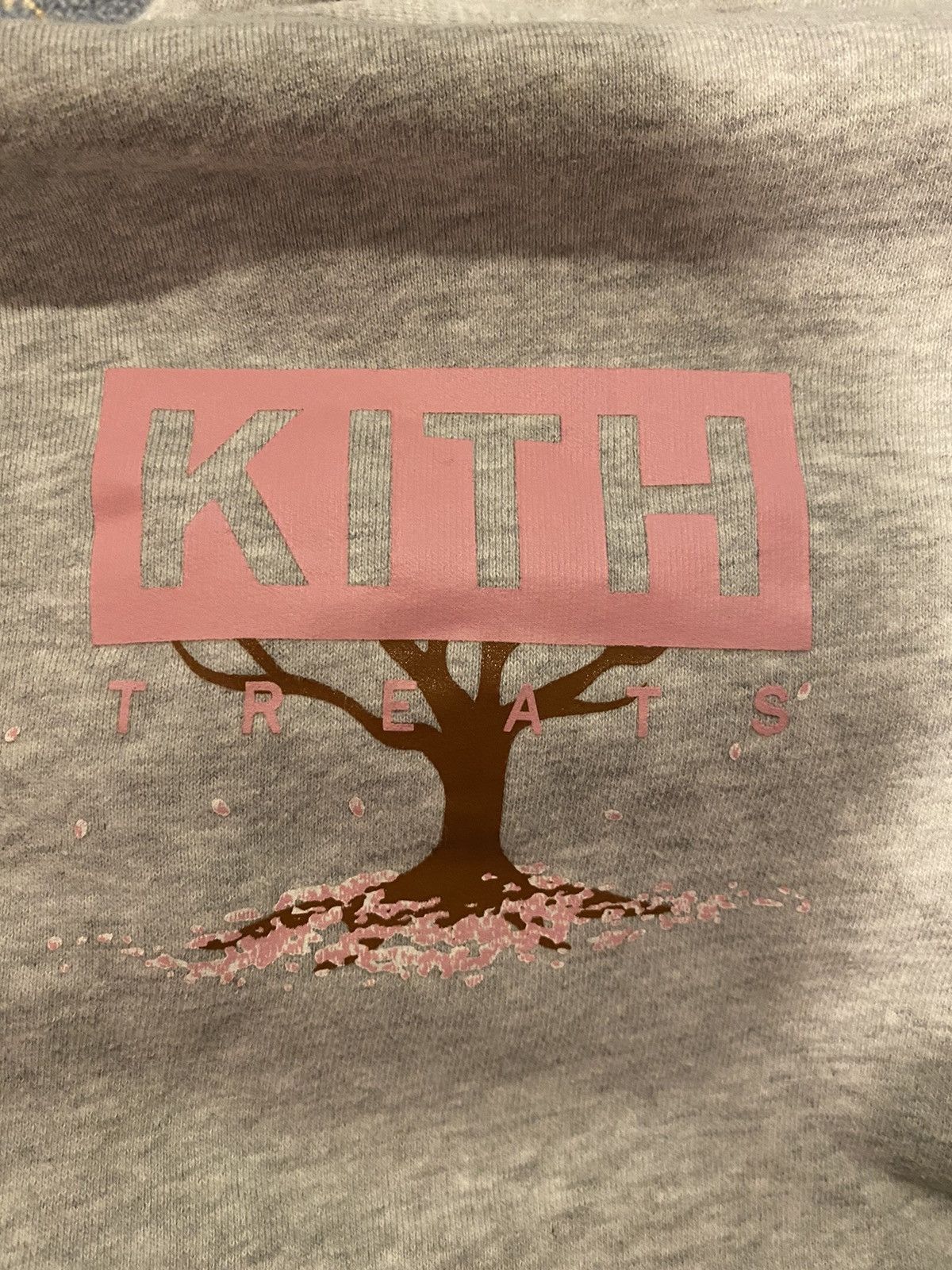 Kith Kith Tokyo "Hanami" Box Logo Hoodie Size US S / EU 44-46 / 1 - 4 Thumbnail